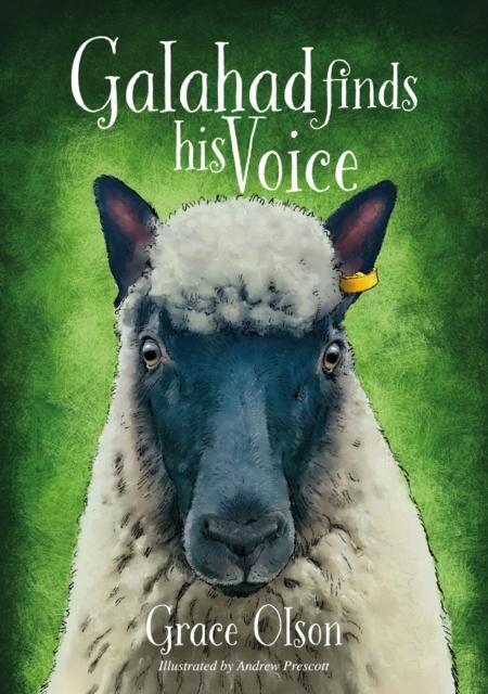 Vorderes Coverbild Galahad finds his Voice