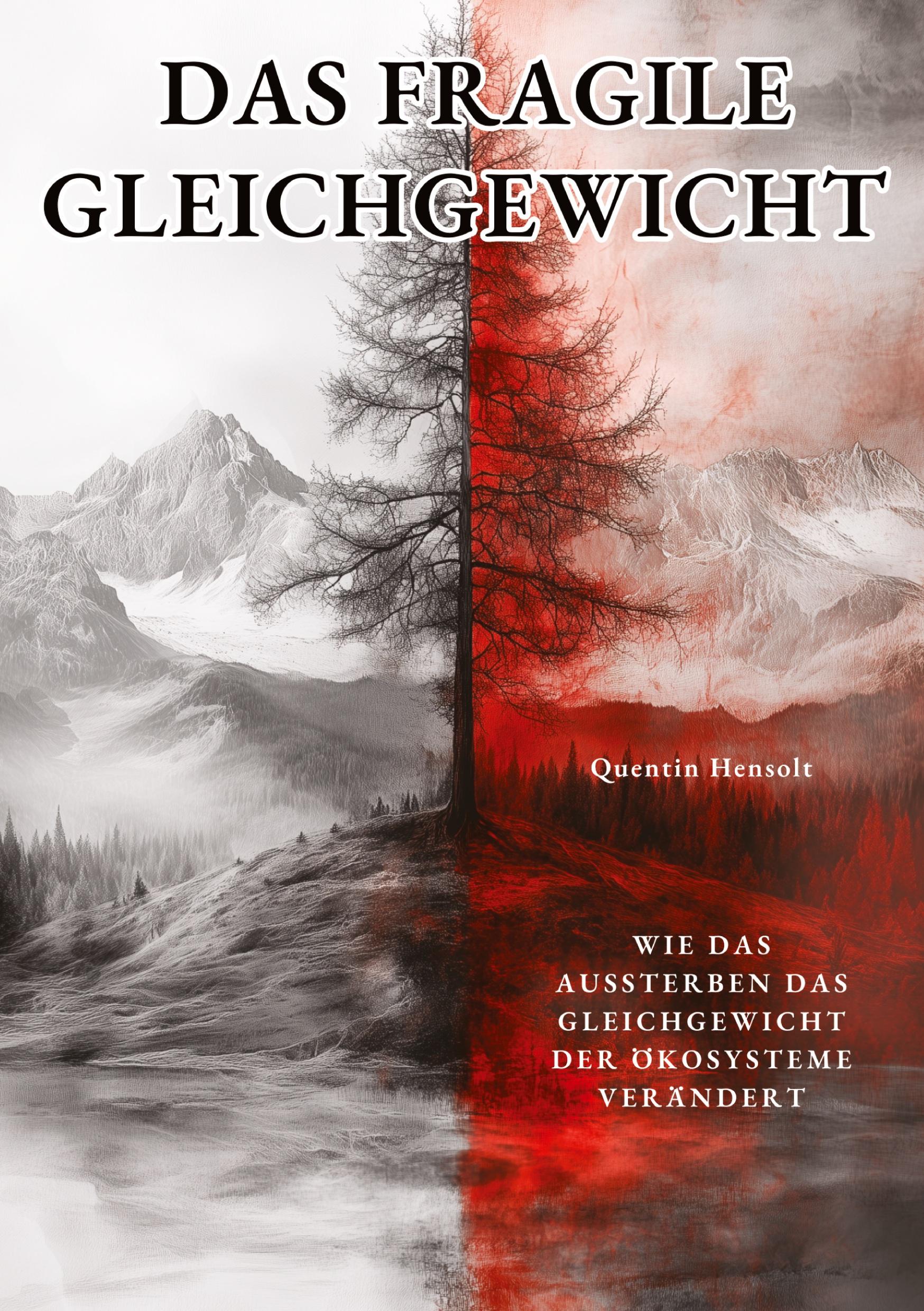 Vorderes Coverbild Das fragile Gleichgewicht