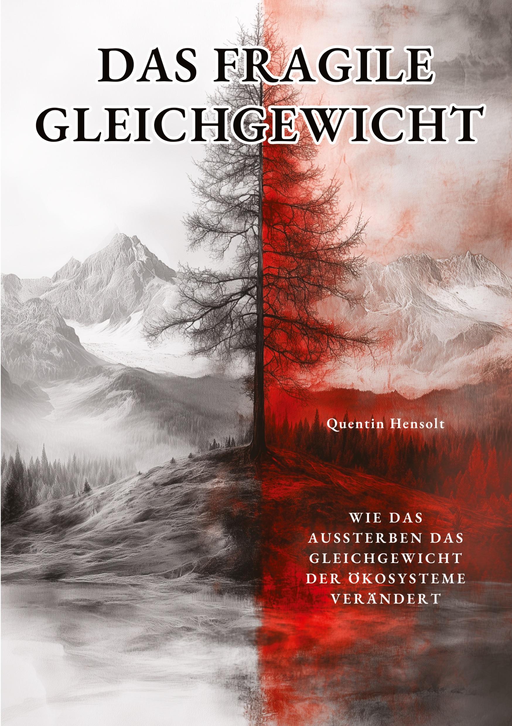 Vorderes Coverbild Das fragile Gleichgewicht