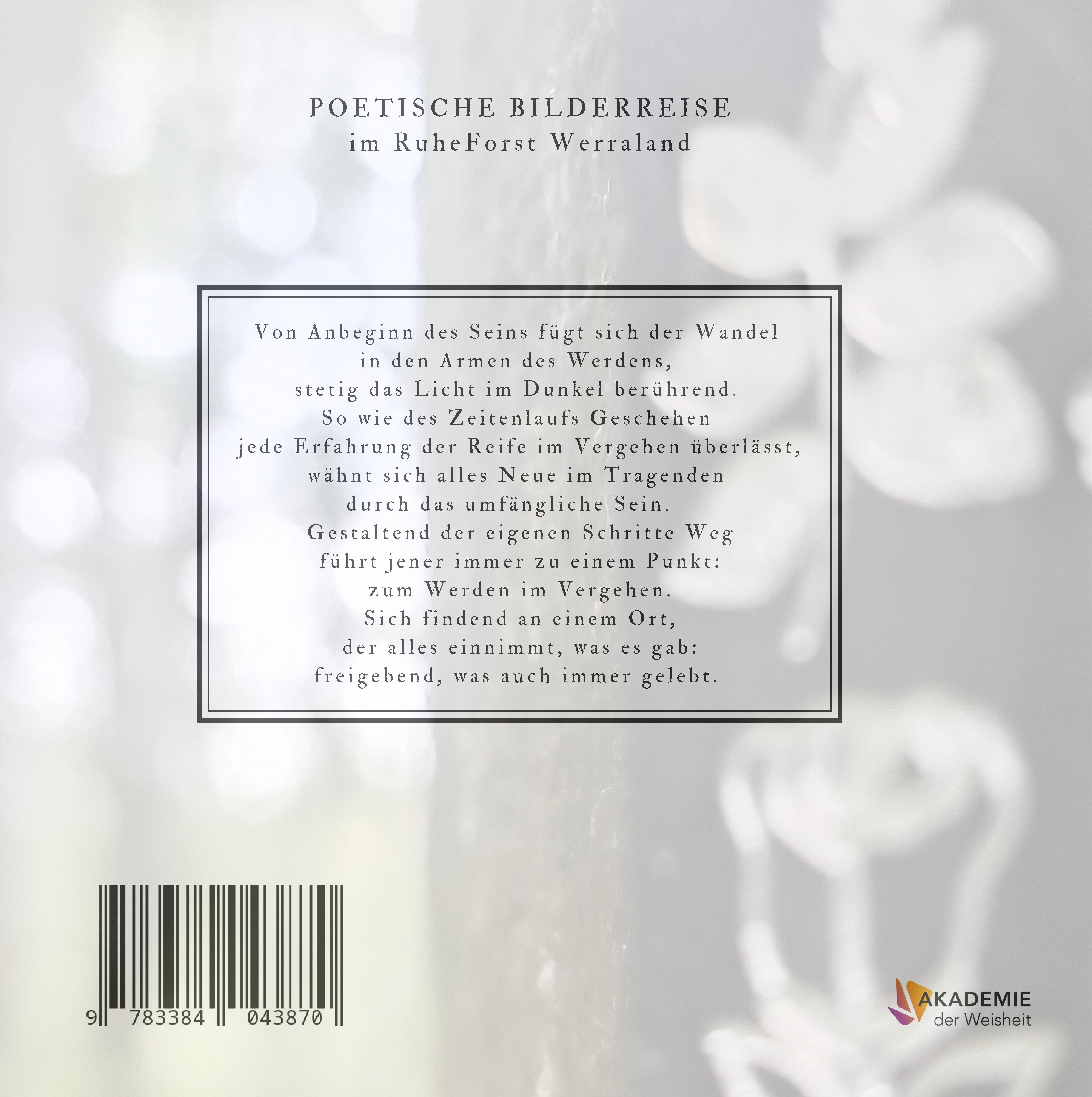 Rückseitencover DER RUHE STILLE