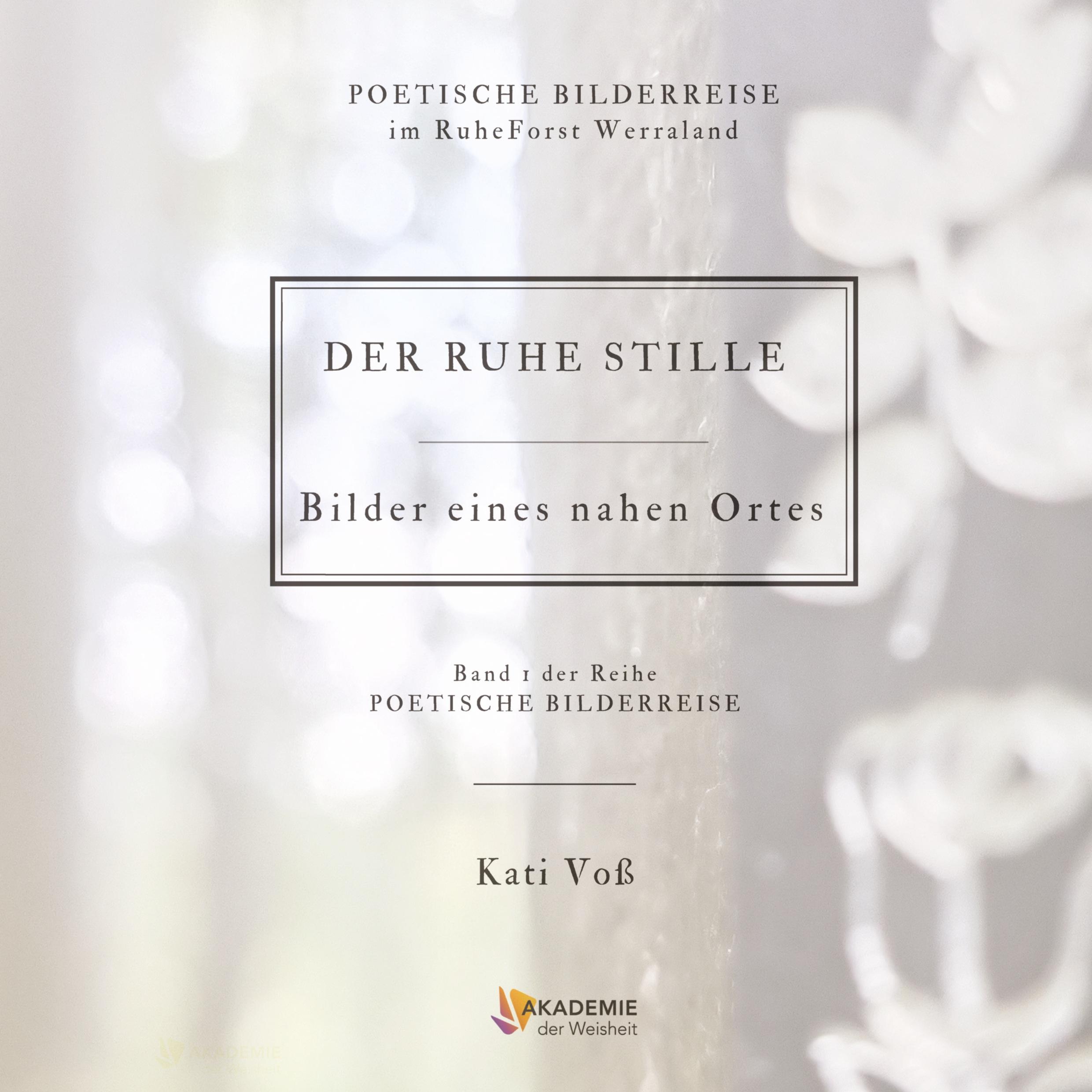 Vorderes Coverbild DER RUHE STILLE