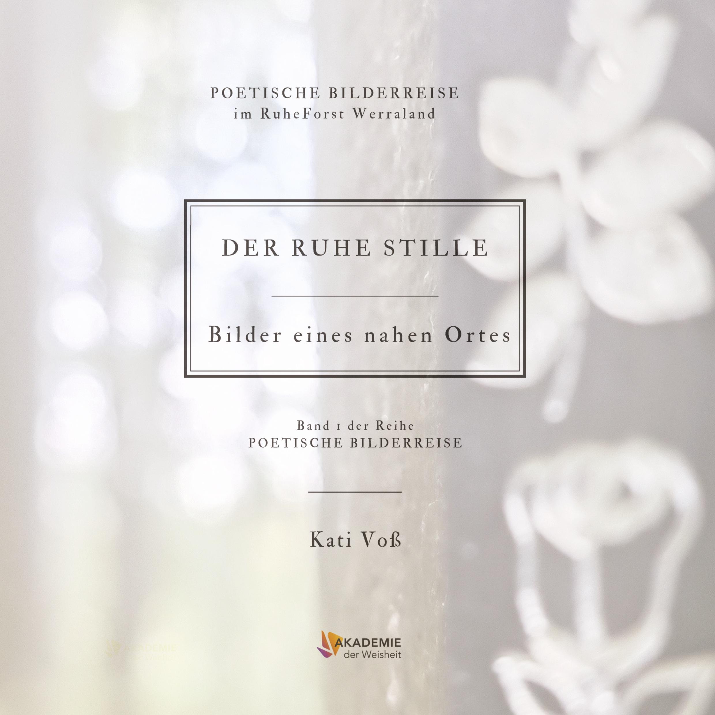 Vorderes Coverbild DER RUHE STILLE