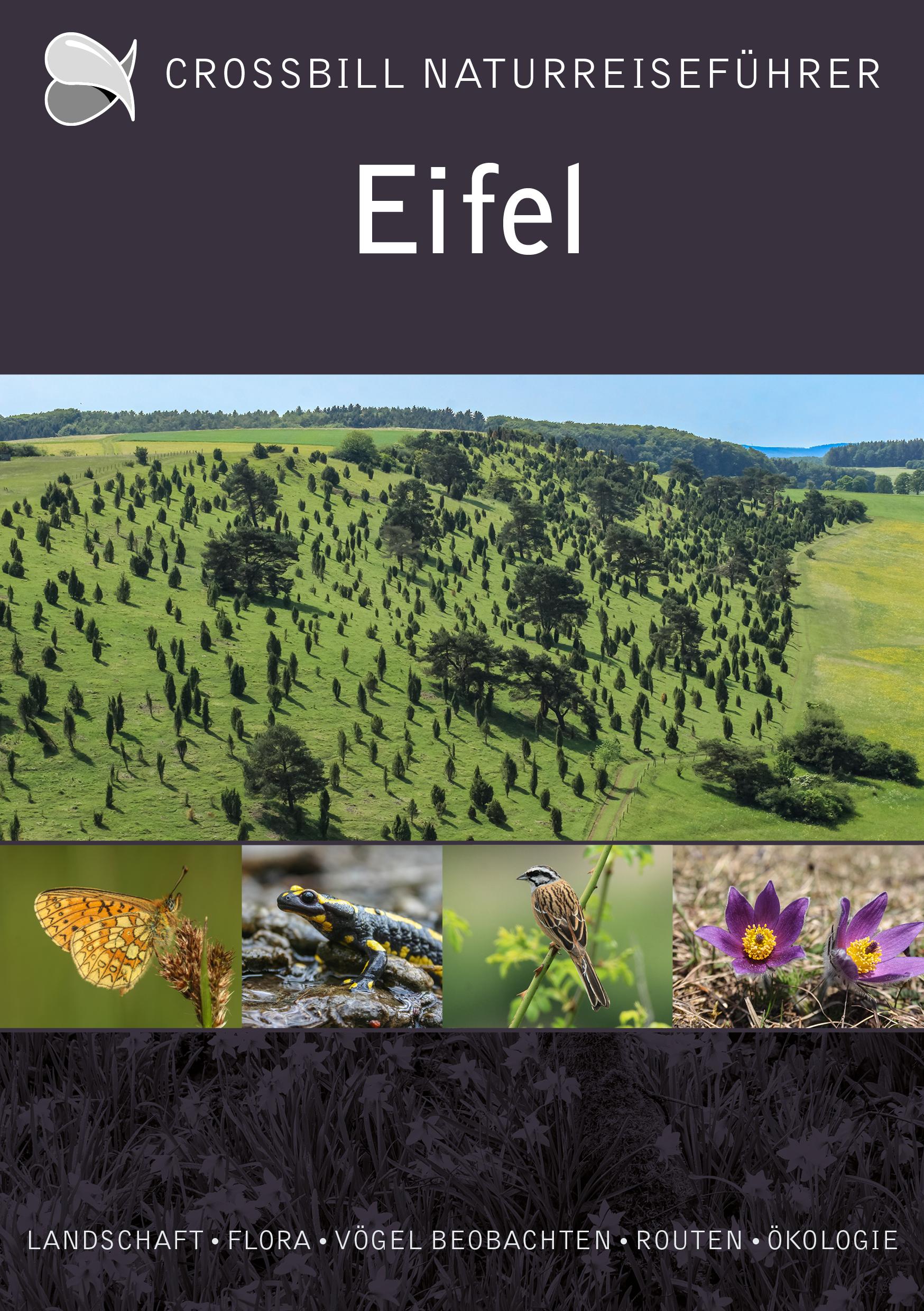 Vorderes Coverbild Eifel
