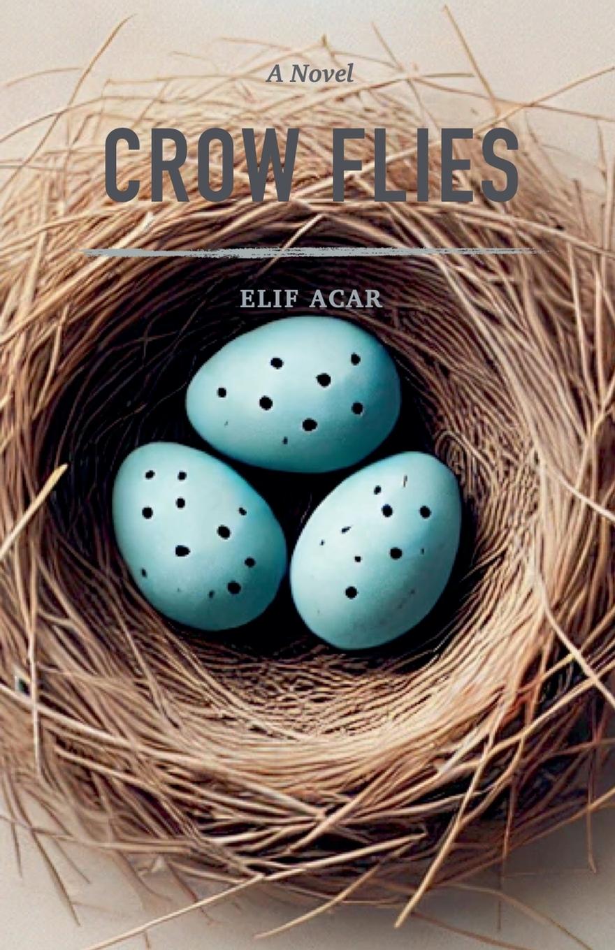 Vorderes Coverbild Crow Flies