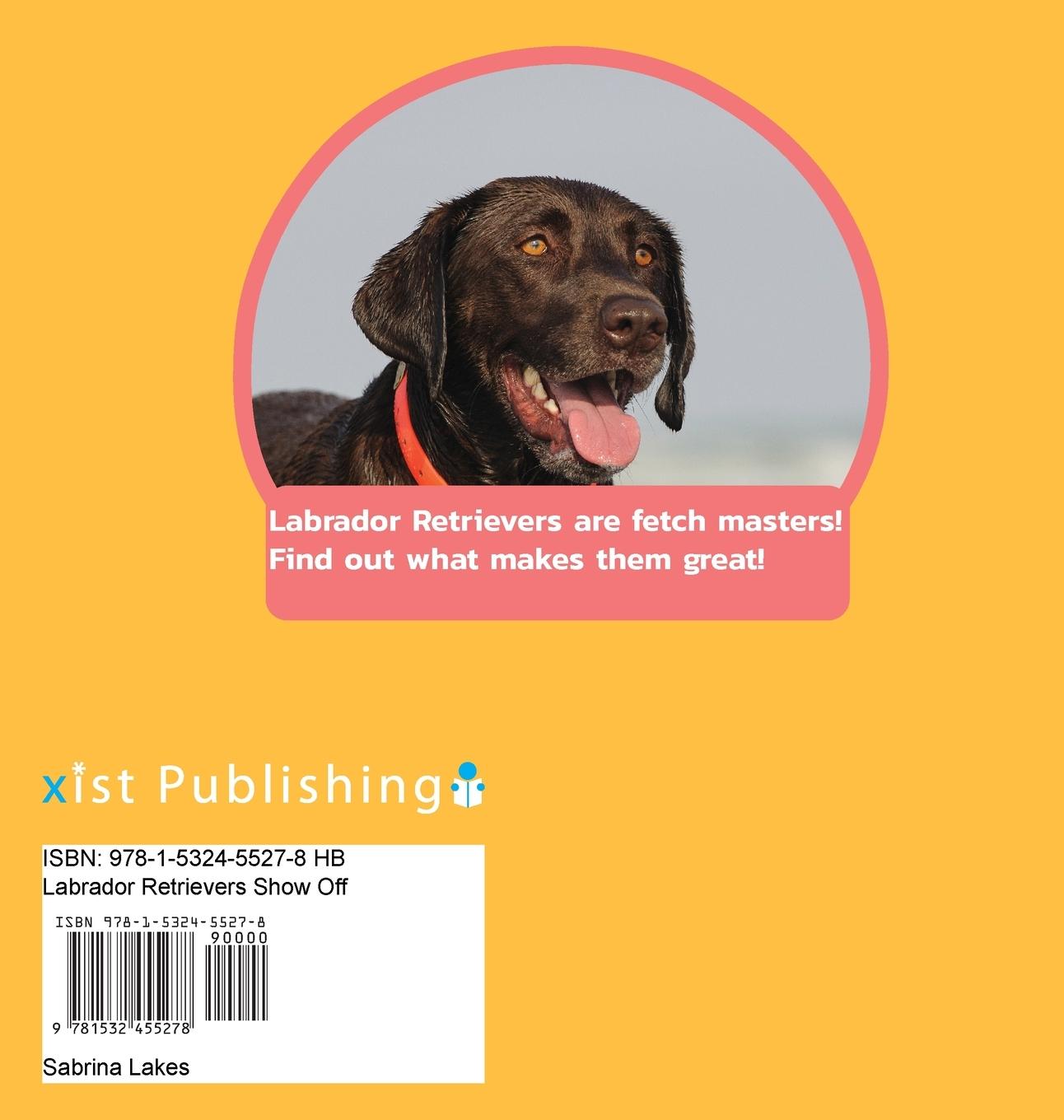 Rückseitencover Labrador Retrievers Show Off