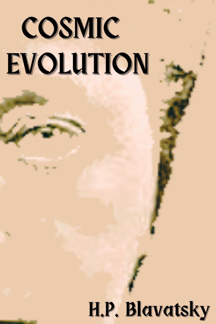Vorderes Coverbild Cosmic Evolution