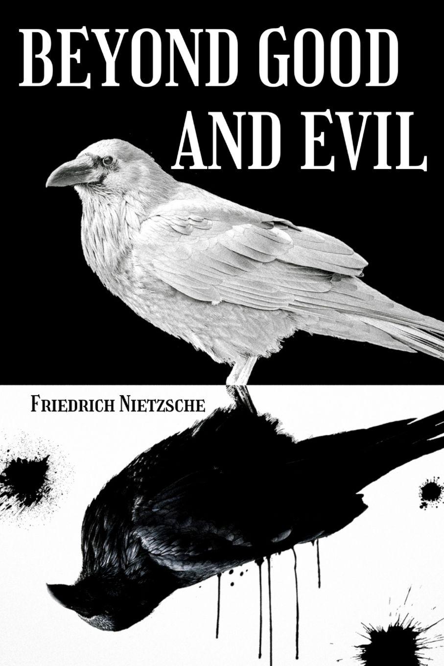 Vorderes Coverbild Beyond Good and Evil