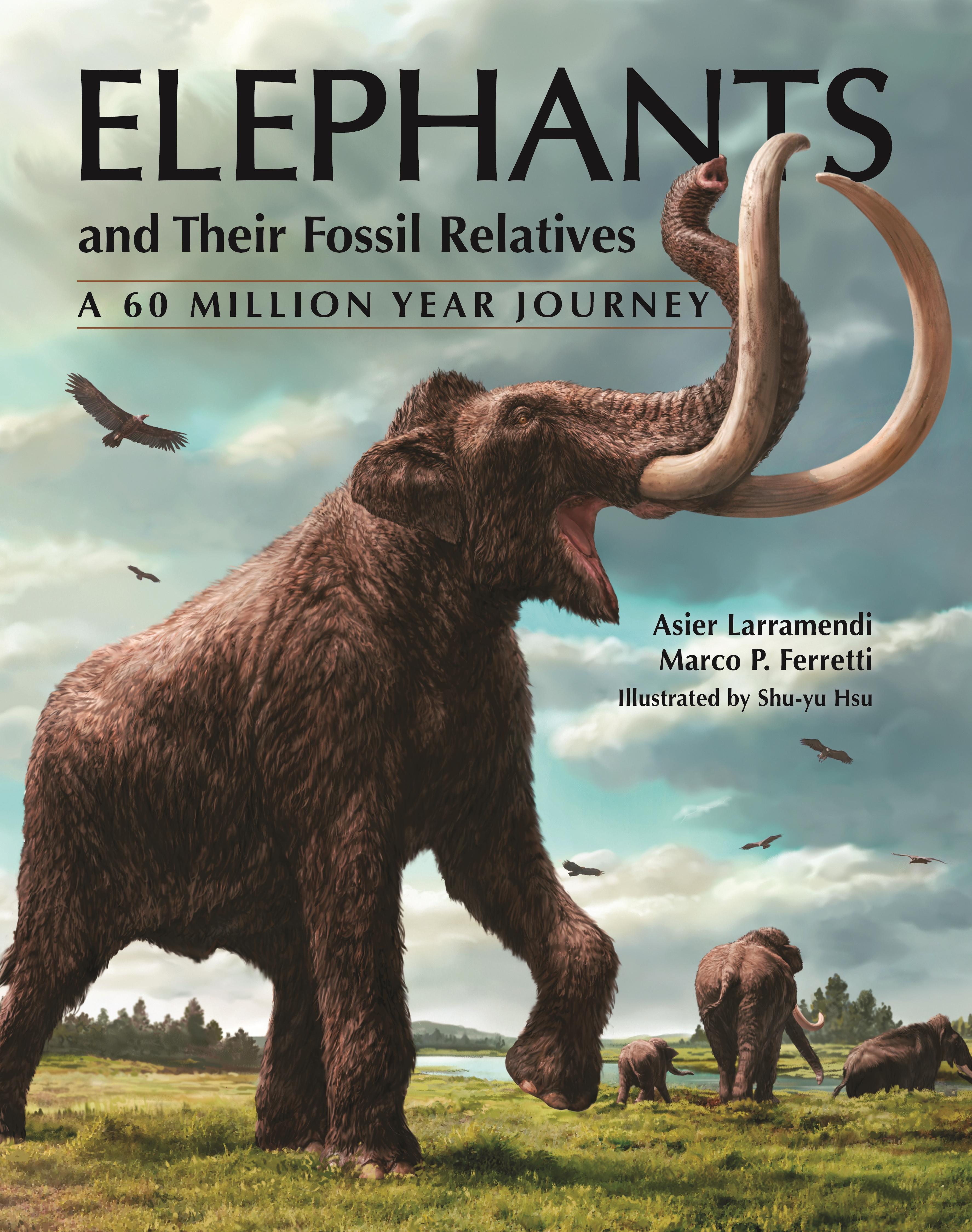 Vorderes Coverbild Elephants and Their Fossil Relatives