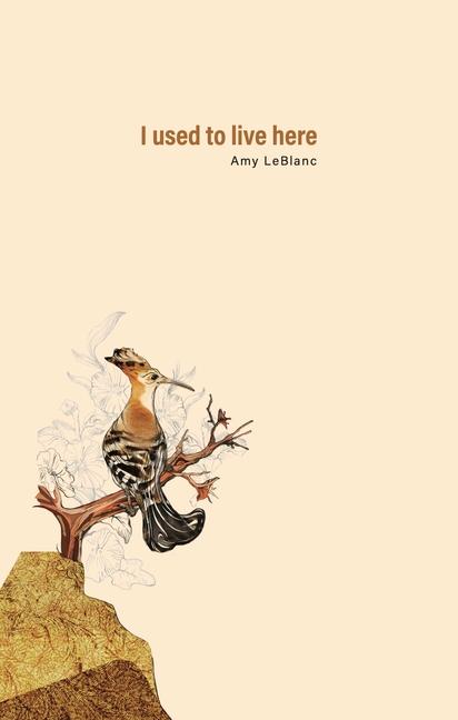 Vorderes Coverbild I Used to Live Here