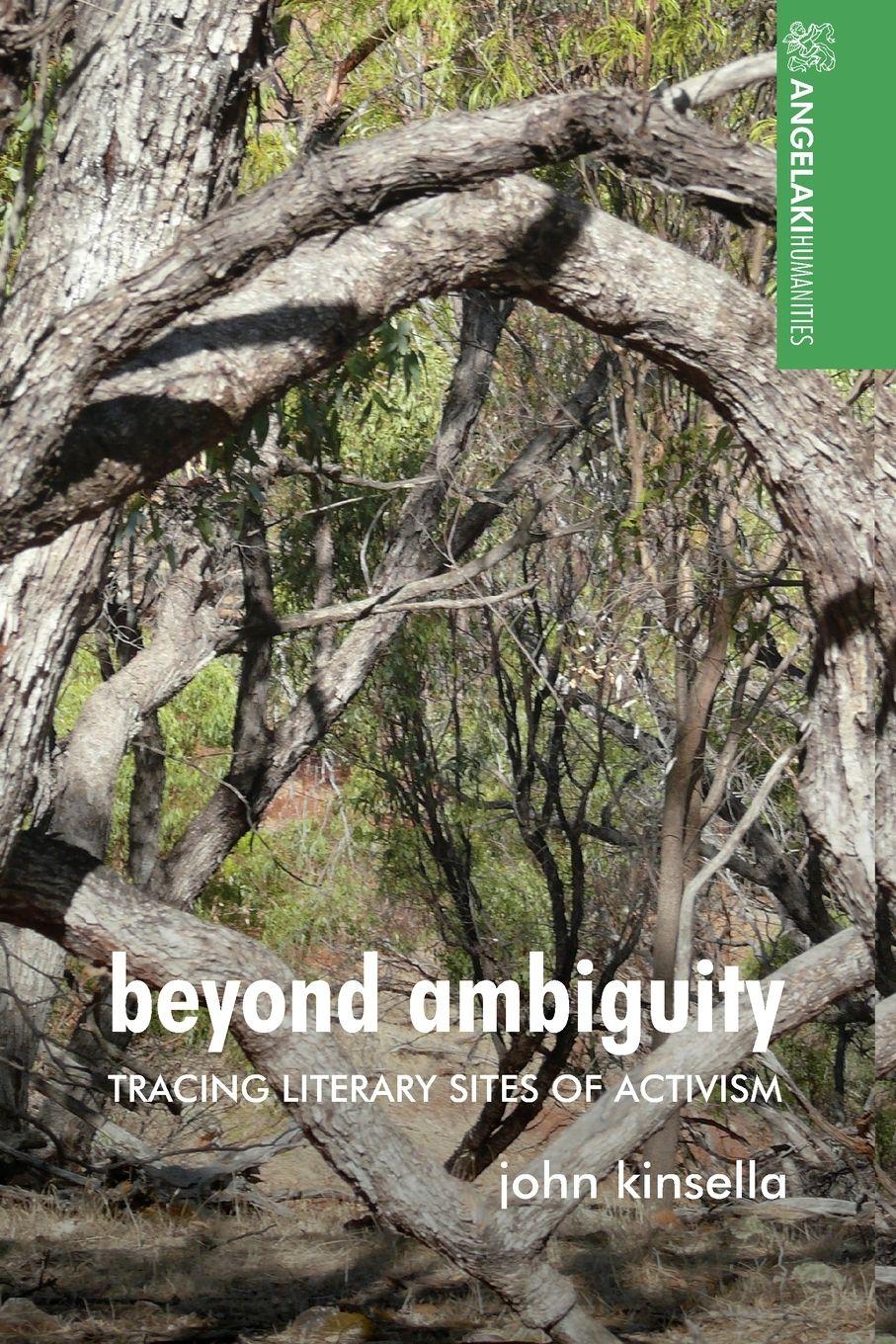 Vorderes Coverbild Beyond ambiguity