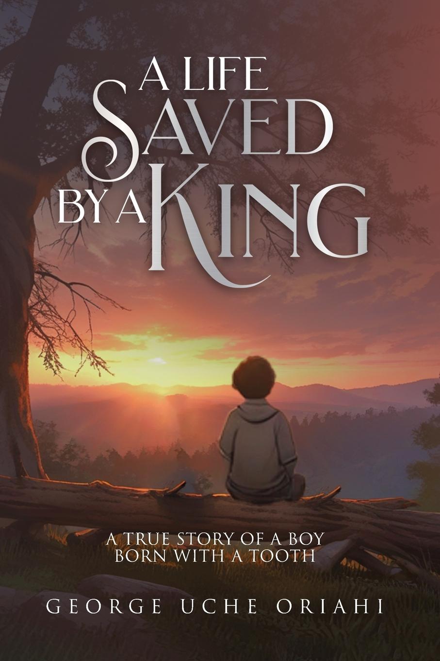 Vorderes Coverbild A Life Saved by a King