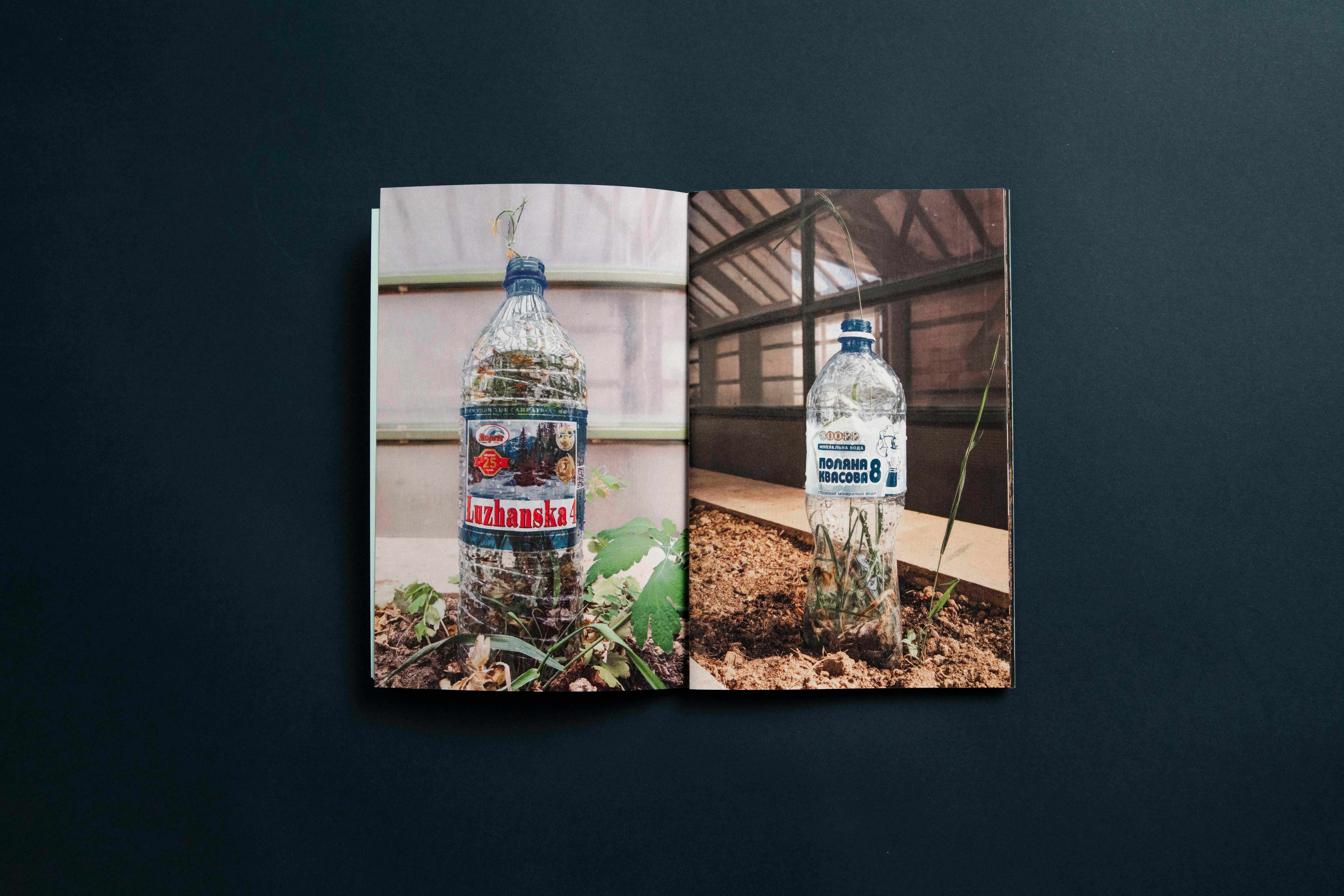 Beispielinhalt (Bild) Solomiya Nr. 4