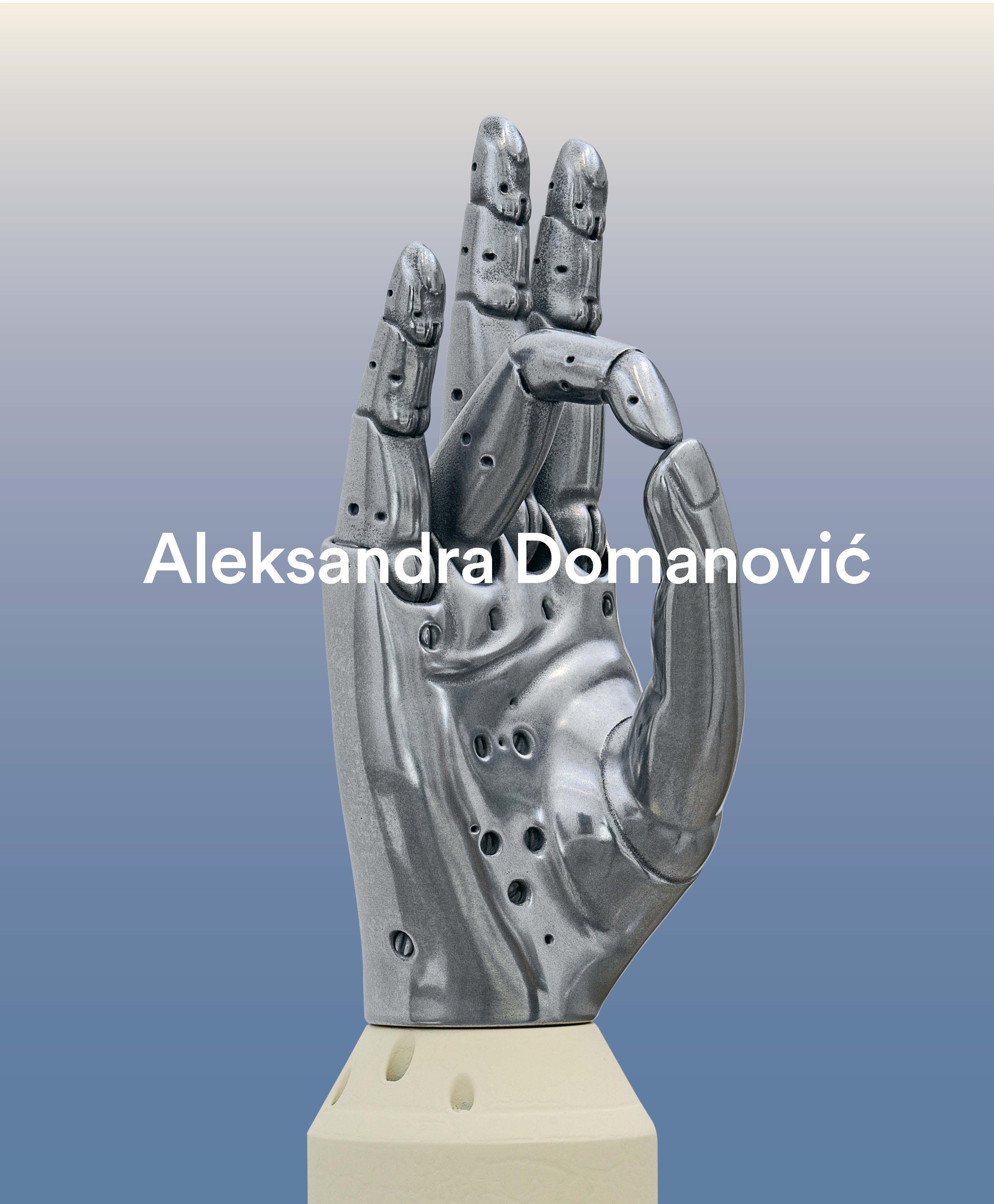 Vorderes Coverbild Aleksandra Domanovi¿