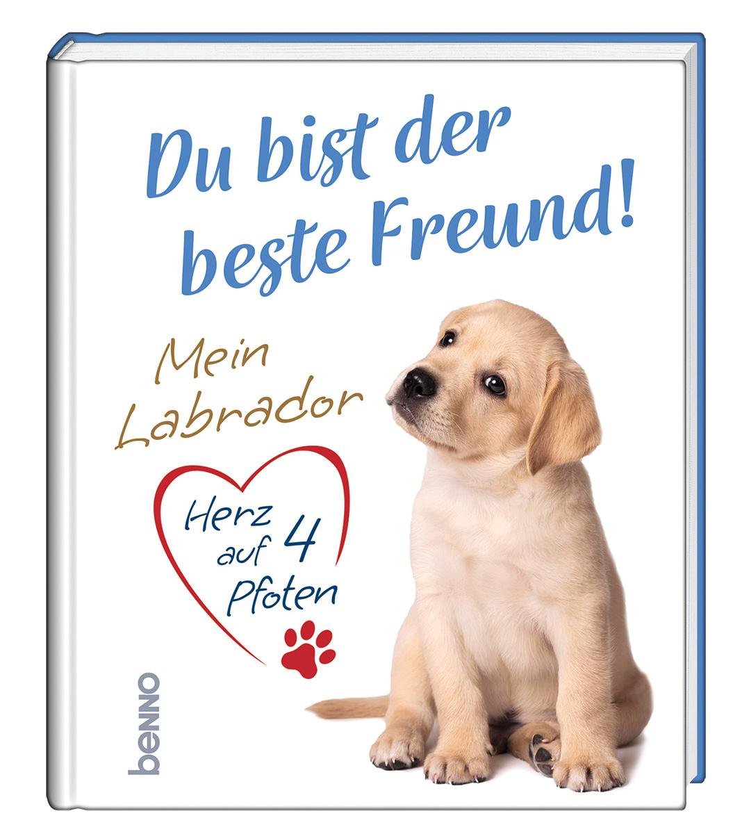 Vorderes Coverbild Du bist der beste Freund!