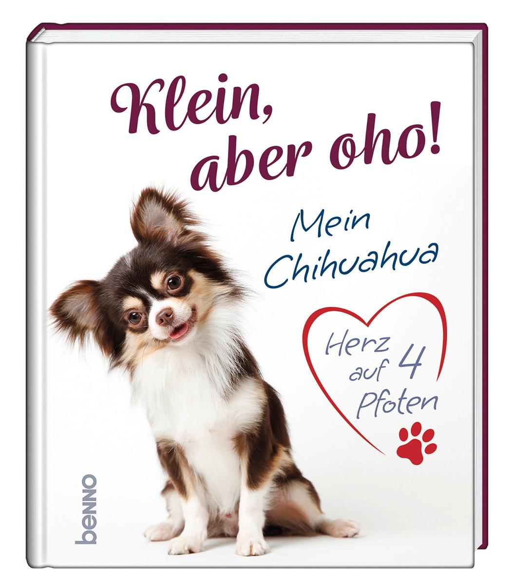 Vorderes Coverbild Klein, aber oho!