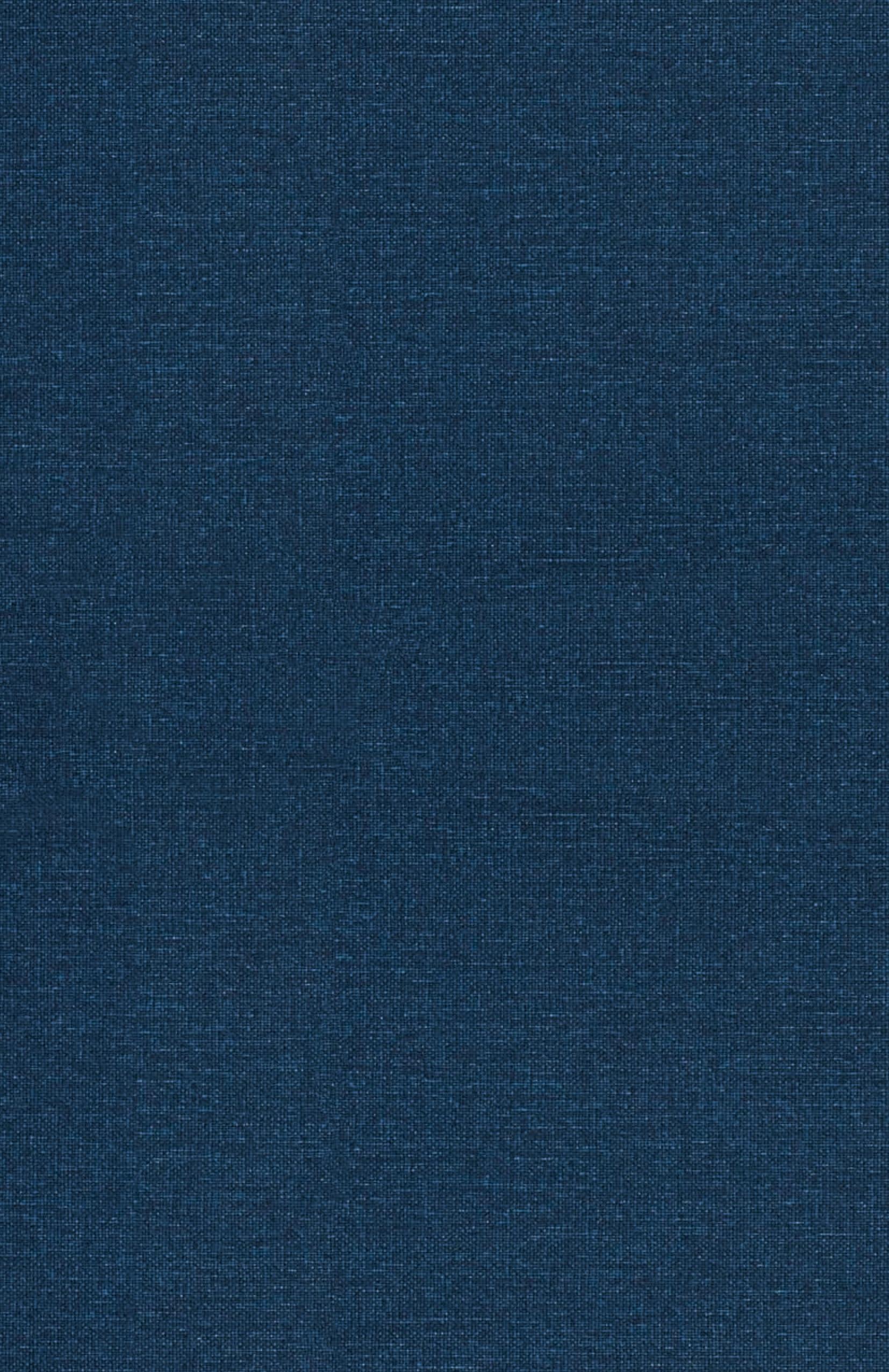 Vorderes Coverbild The Wealthy Mindset