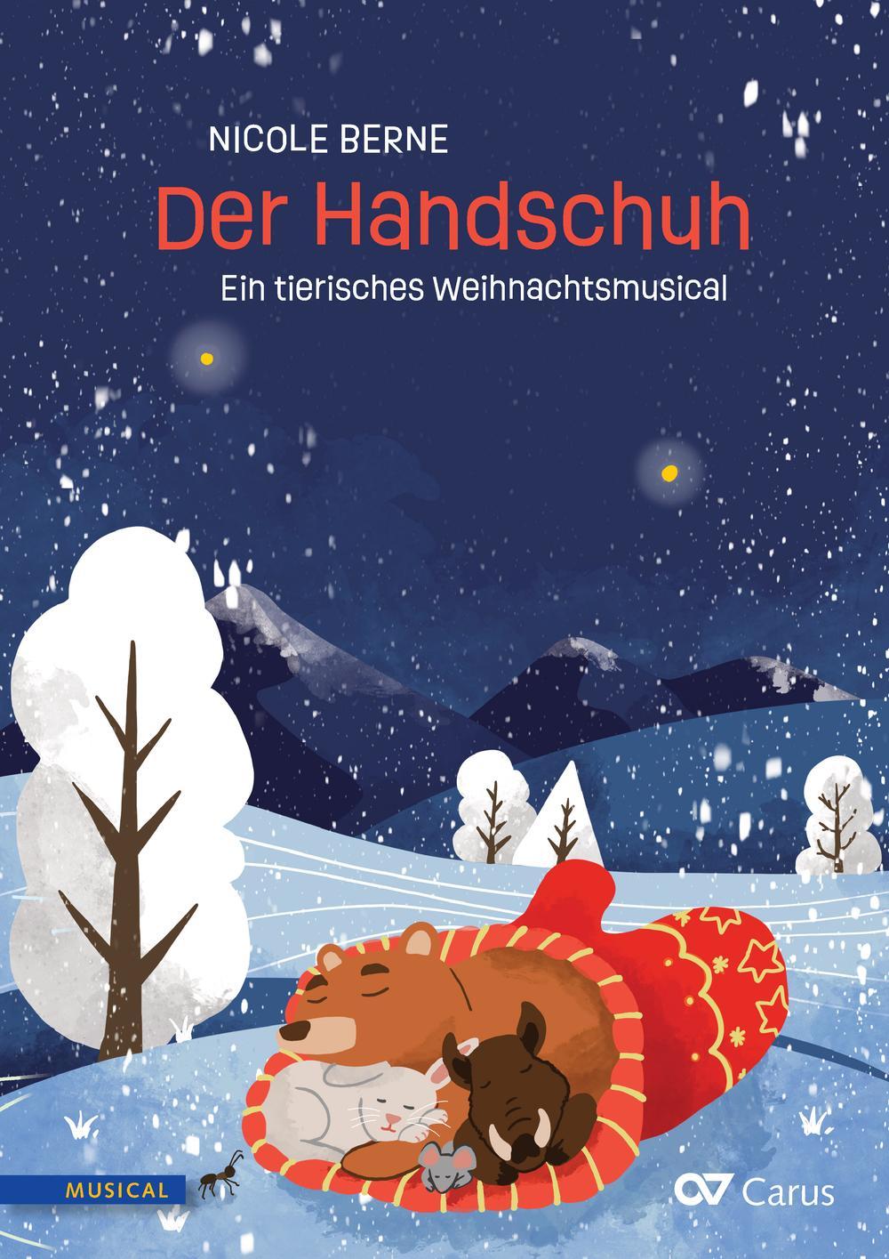 Vorderes Coverbild Der Handschuh