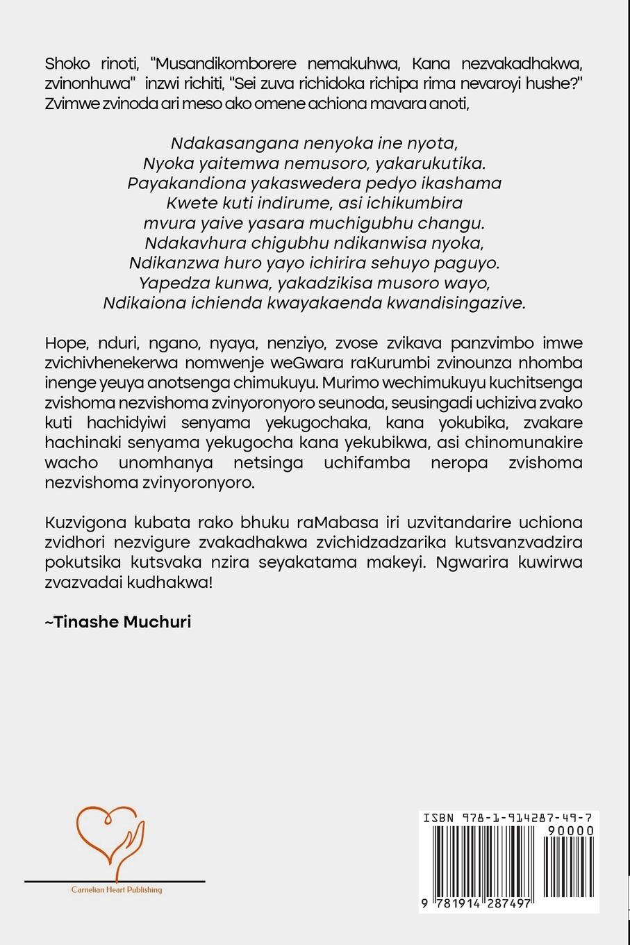 Rückseitencover Zvingori zvidhori nezvigure zvakadhakwa