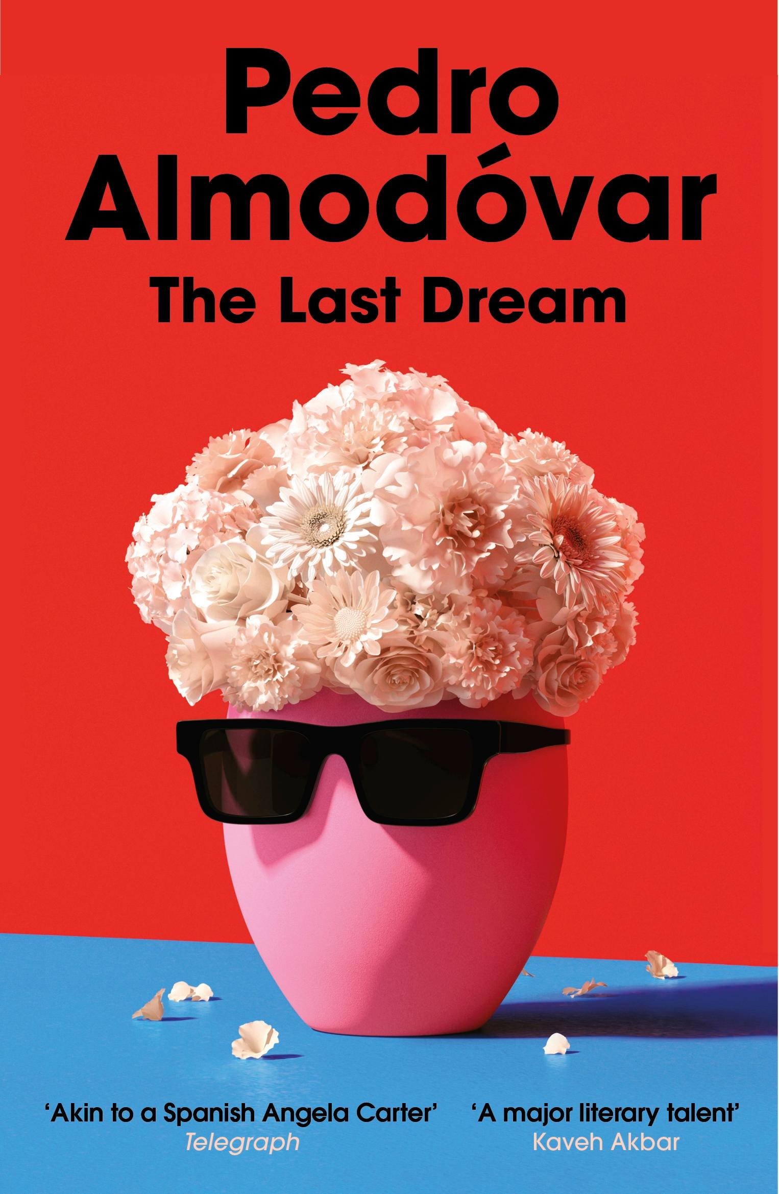 Vorderes Coverbild The Last Dream