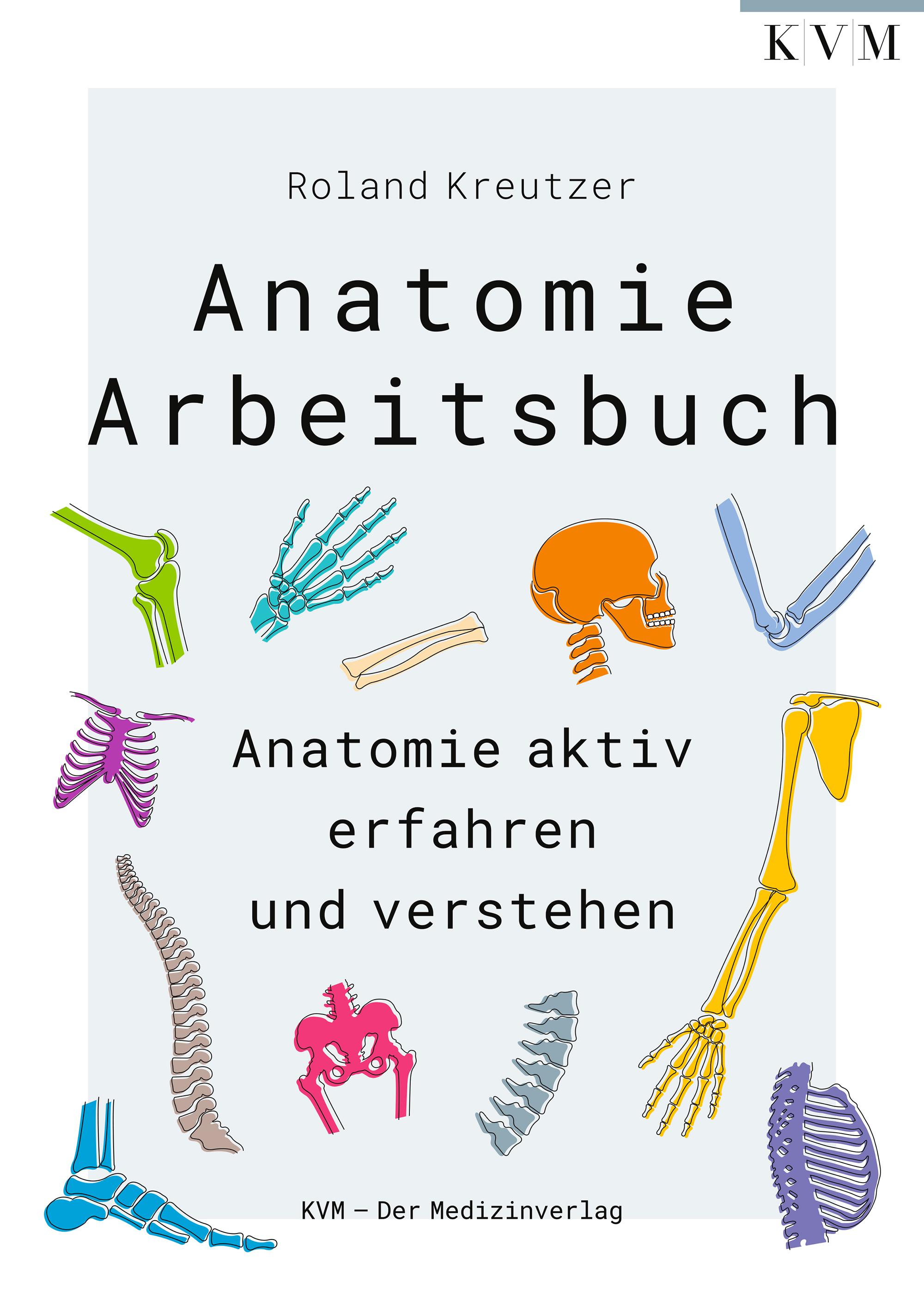 Vorderes Coverbild Anatomie-Arbeitsbuch