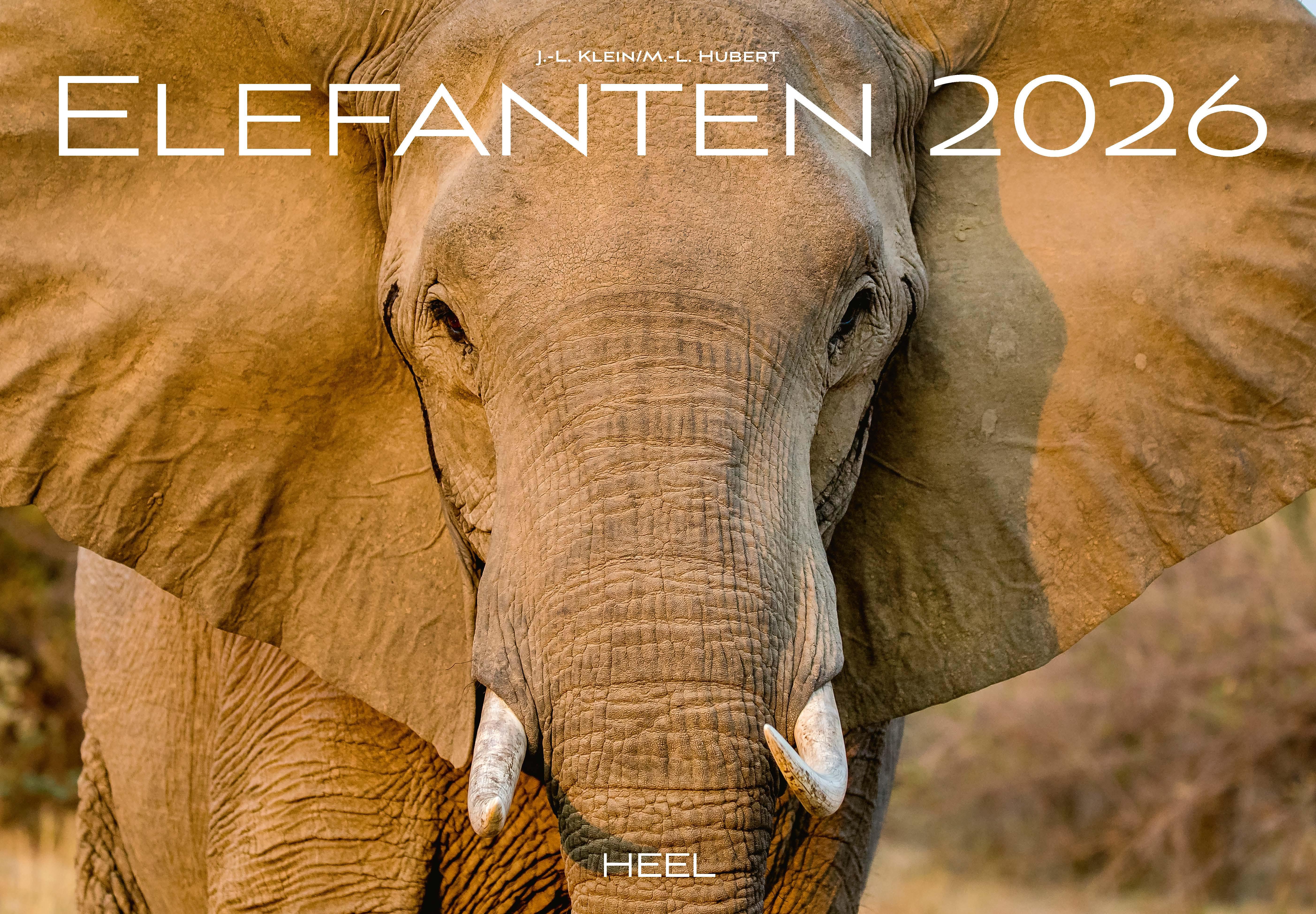 Vorderes Coverbild Elefanten Kalender 2026