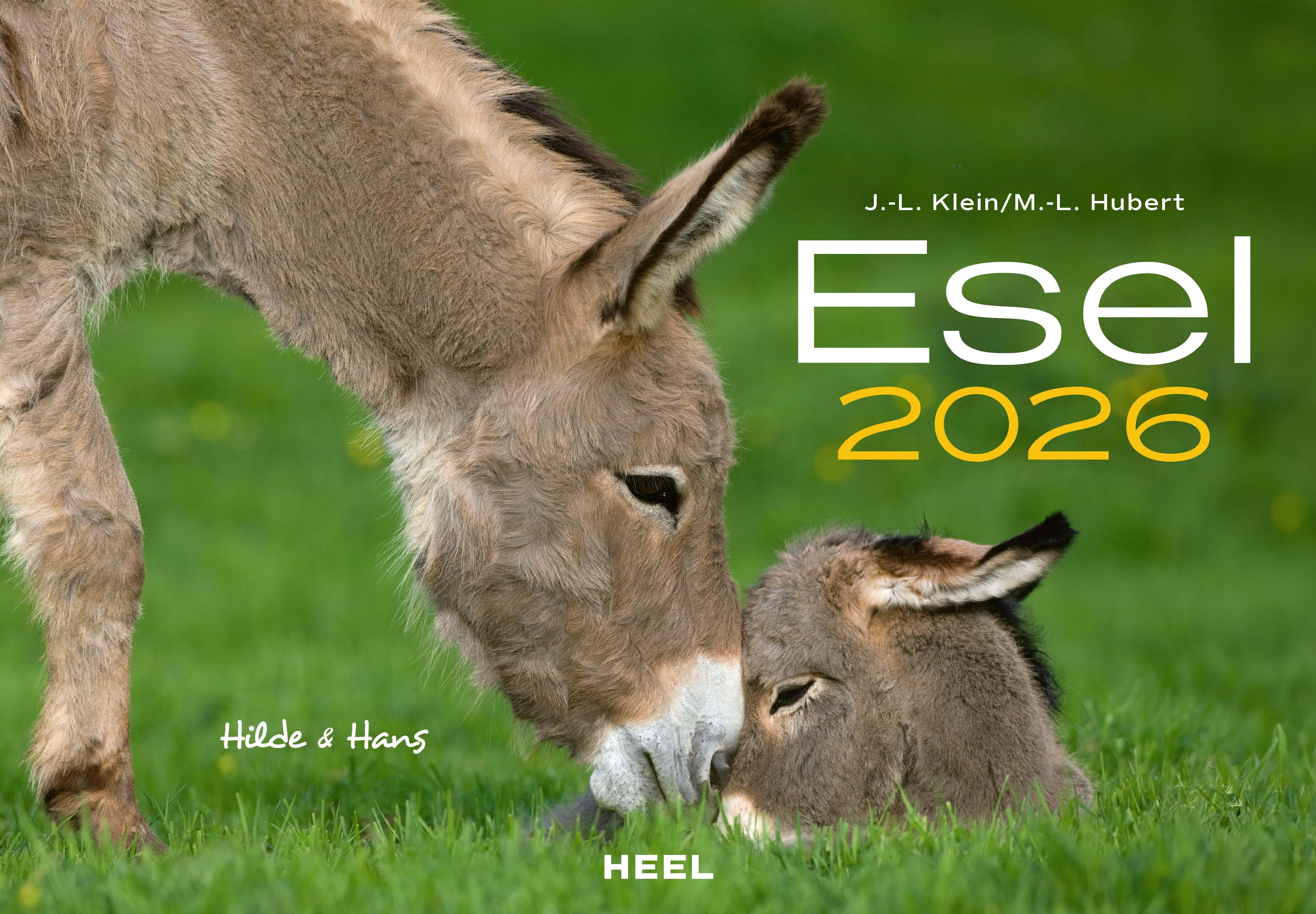 Vorderes Coverbild Esel Kalender 2026