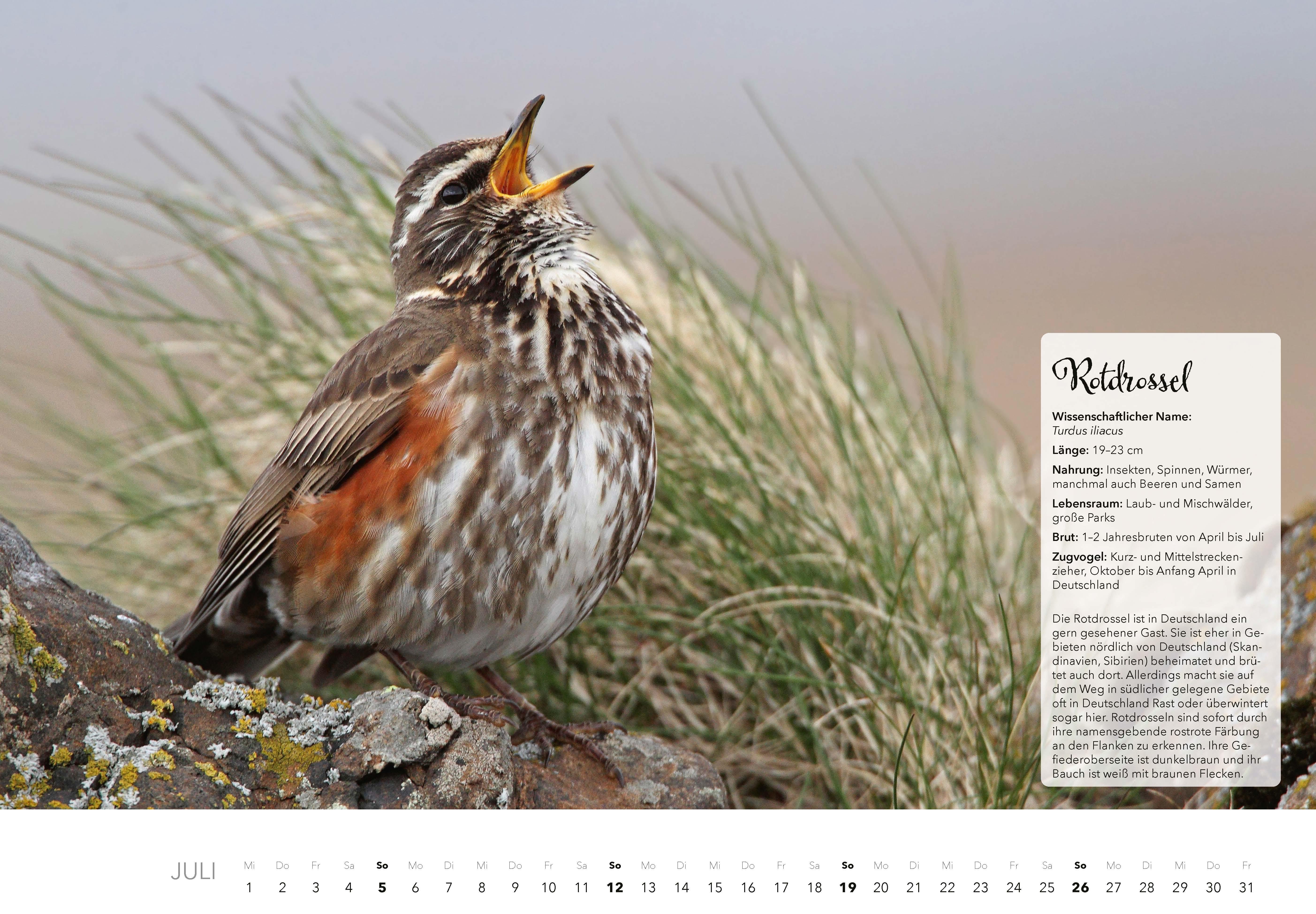 Beispielinhalt (Bild) Unsere Gartenvögel Kalender 2026