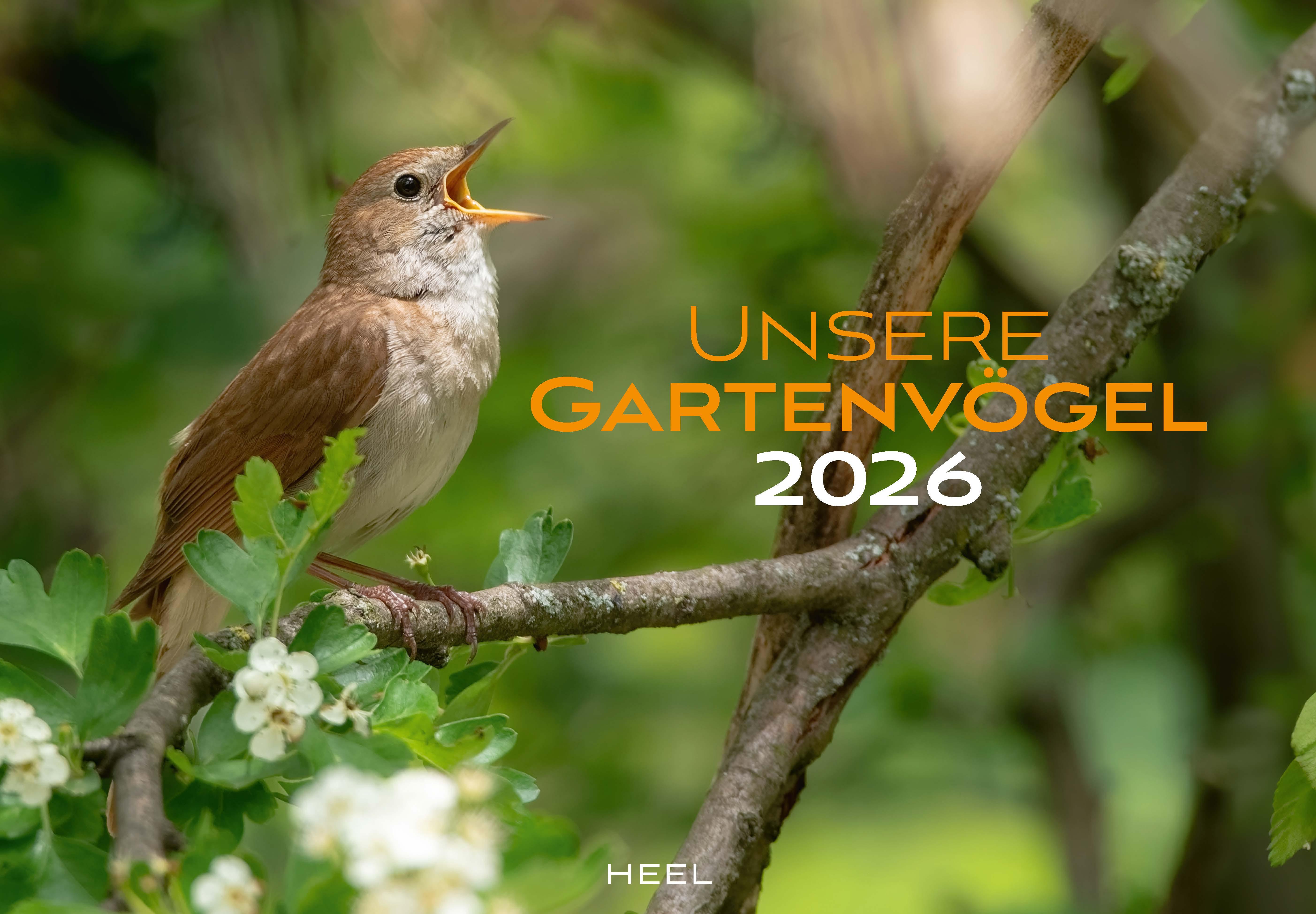 Vorderes Coverbild Unsere Gartenvögel Kalender 2026