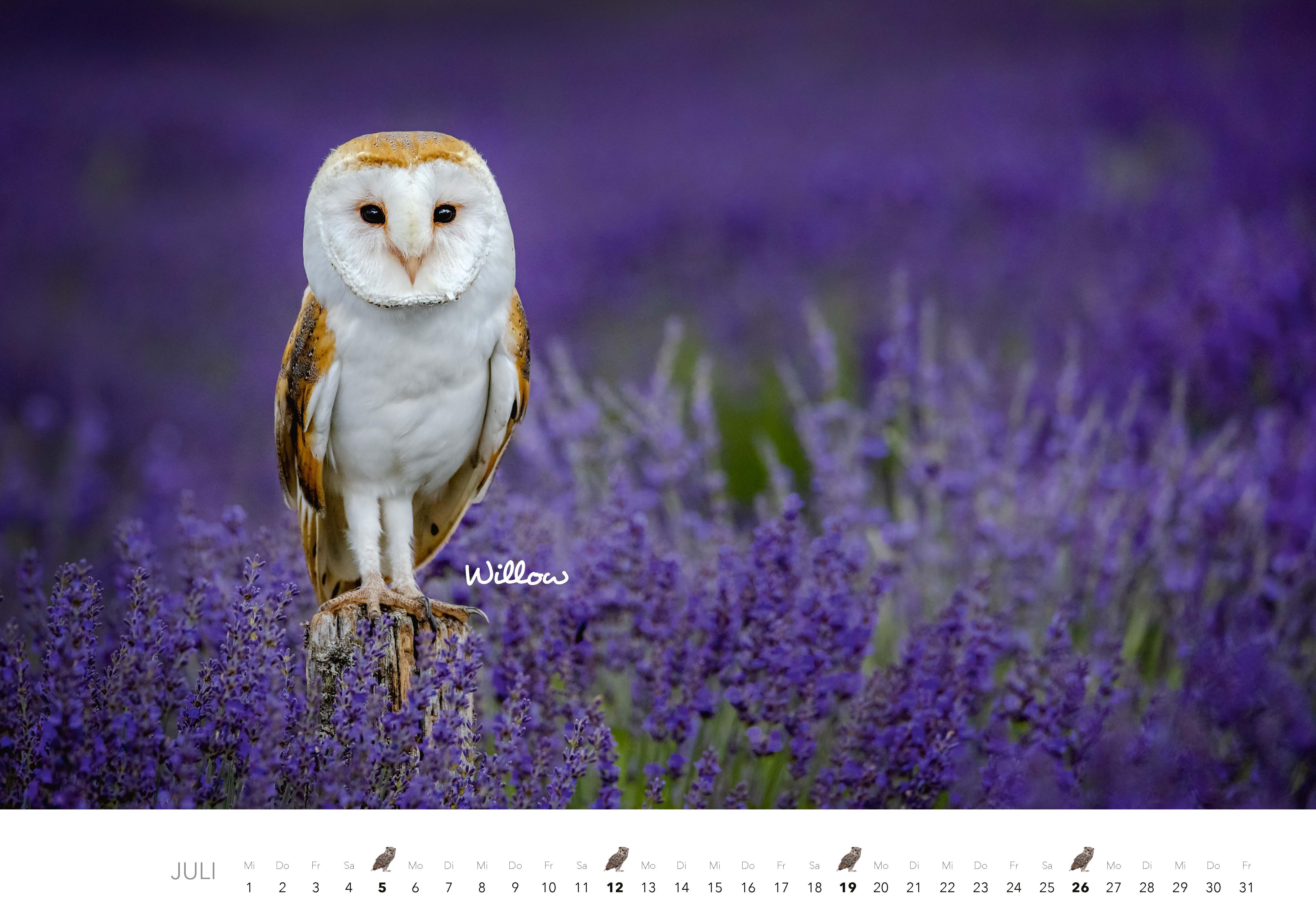 Beispielinhalt (Bild) Eulen Kalender 2026