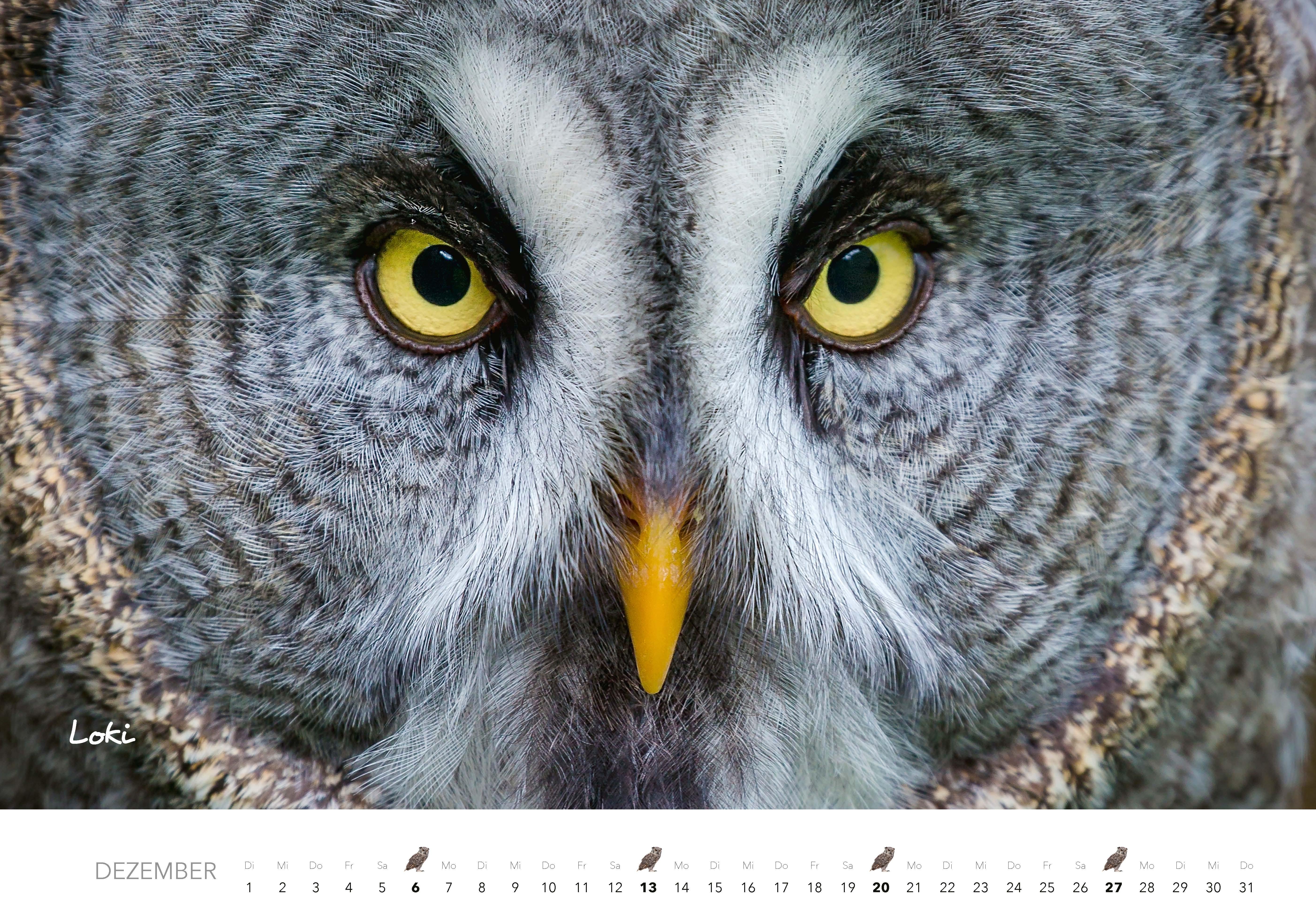 Beispielinhalt (Bild) Eulen Kalender 2026