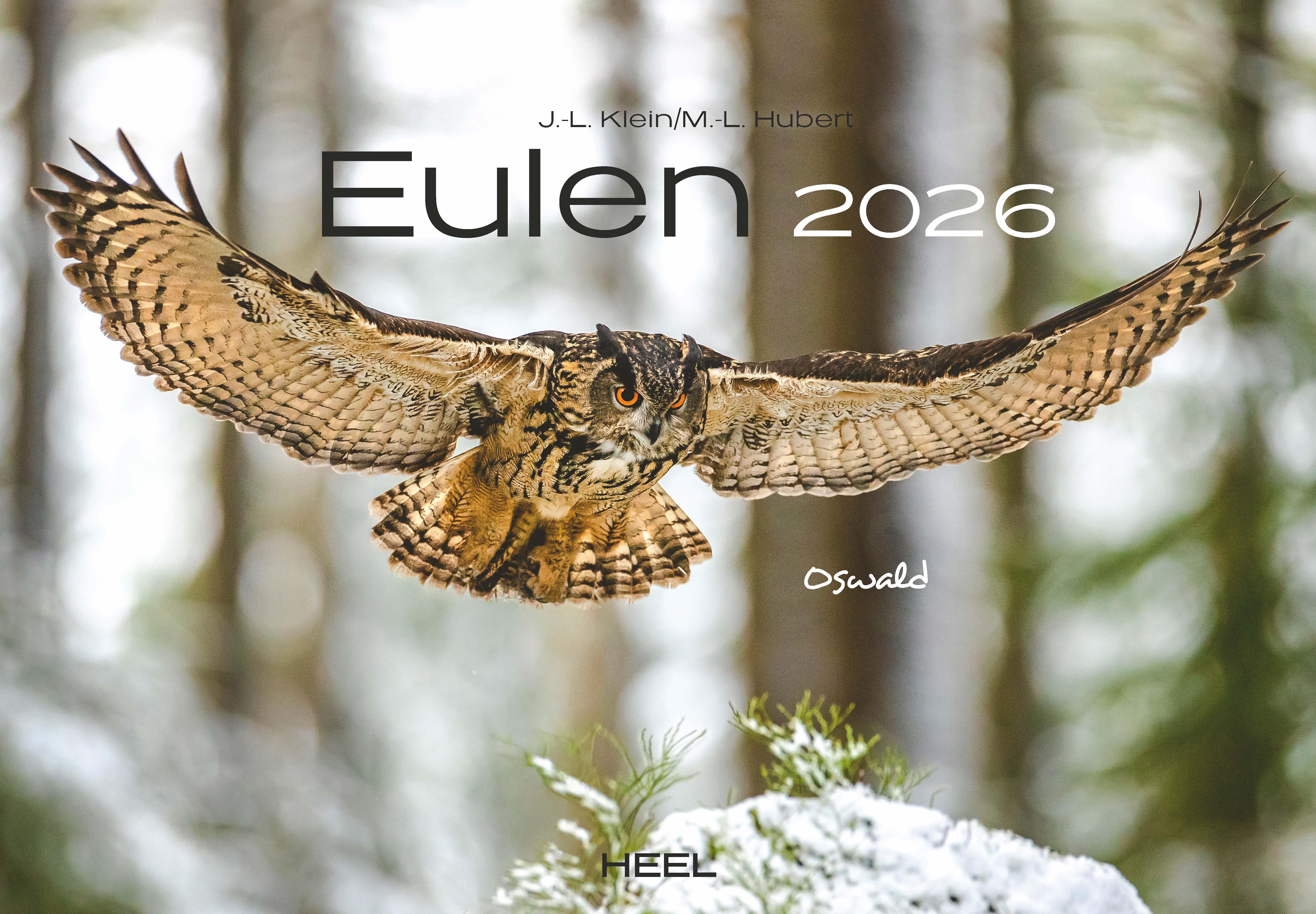 Vorderes Coverbild Eulen Kalender 2026