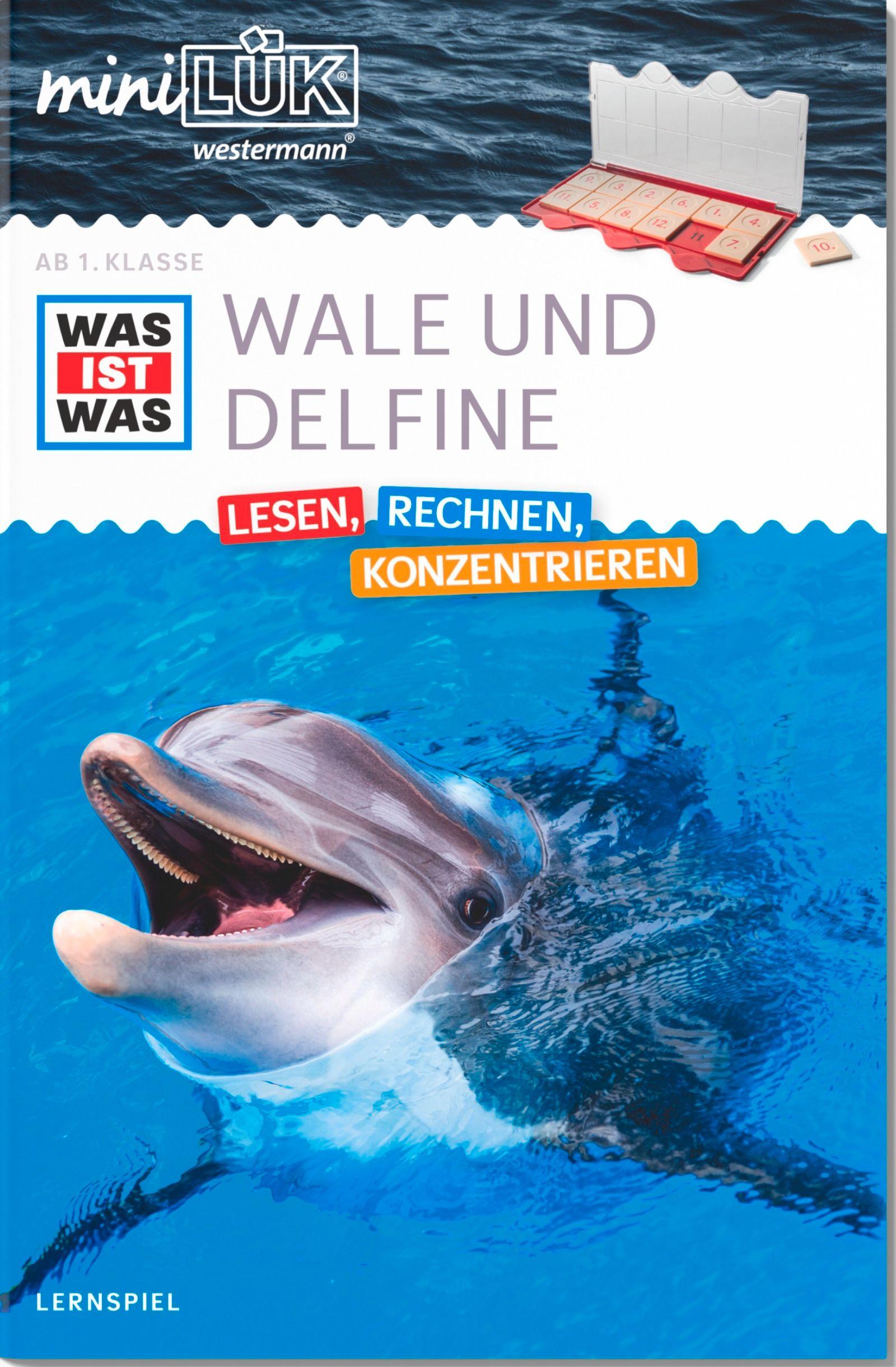 Vorderes Coverbild miniLÜK. WAS IST WAS Wale und Delfine Lesen, Rechnen, Konzentrieren 1. Klasse