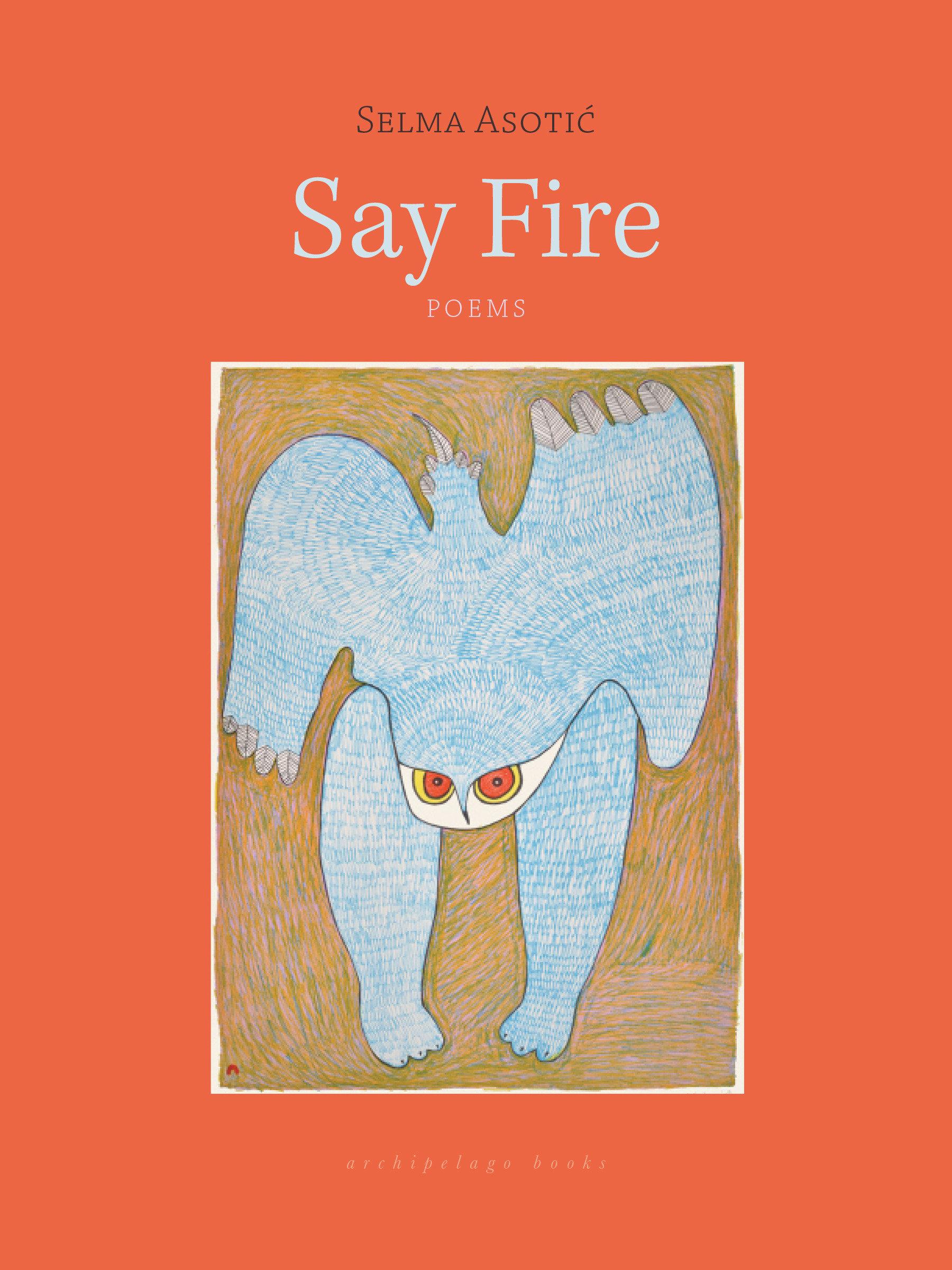 Vorderes Coverbild Say Fire