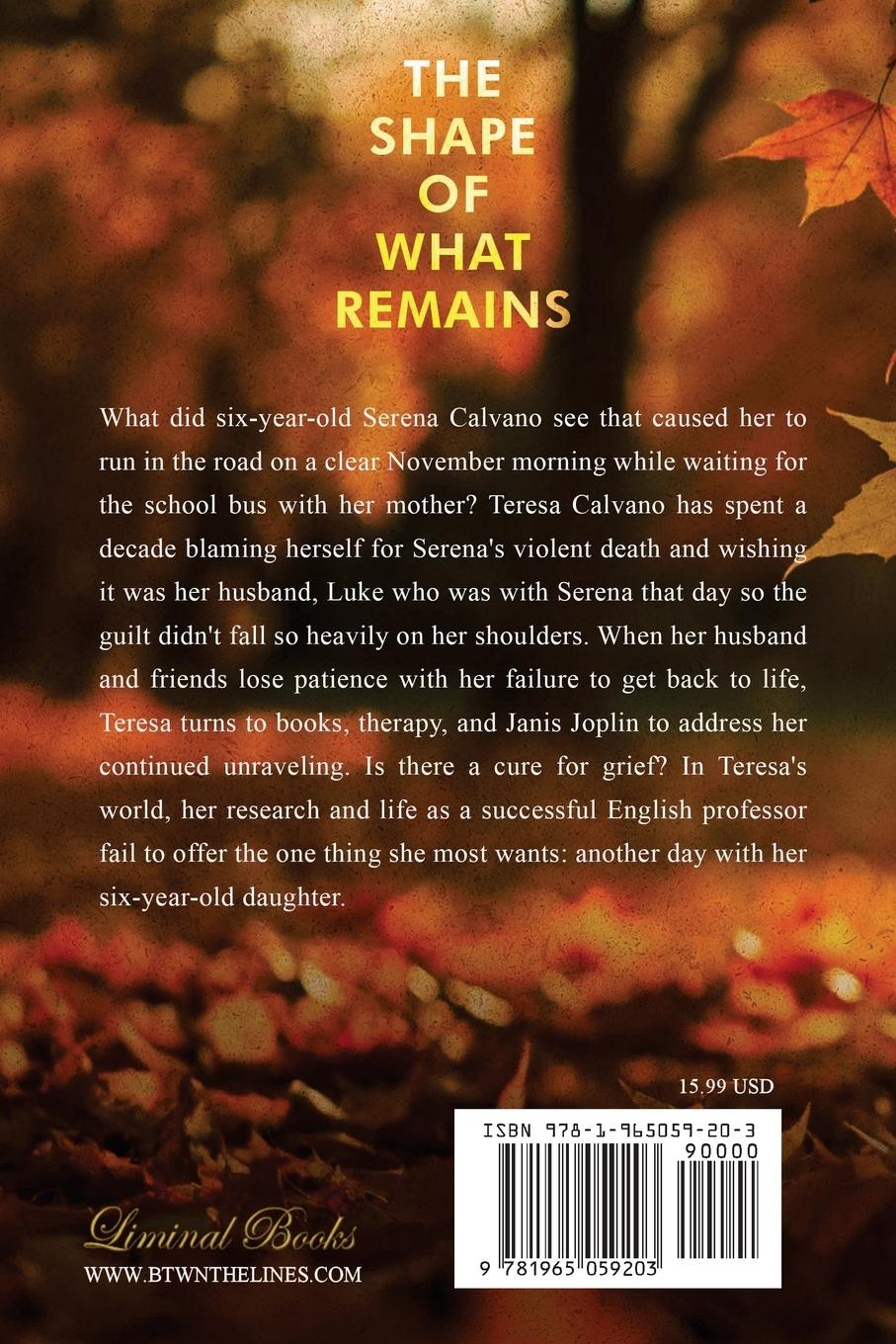 Rückseitencover The Shape of What Remains