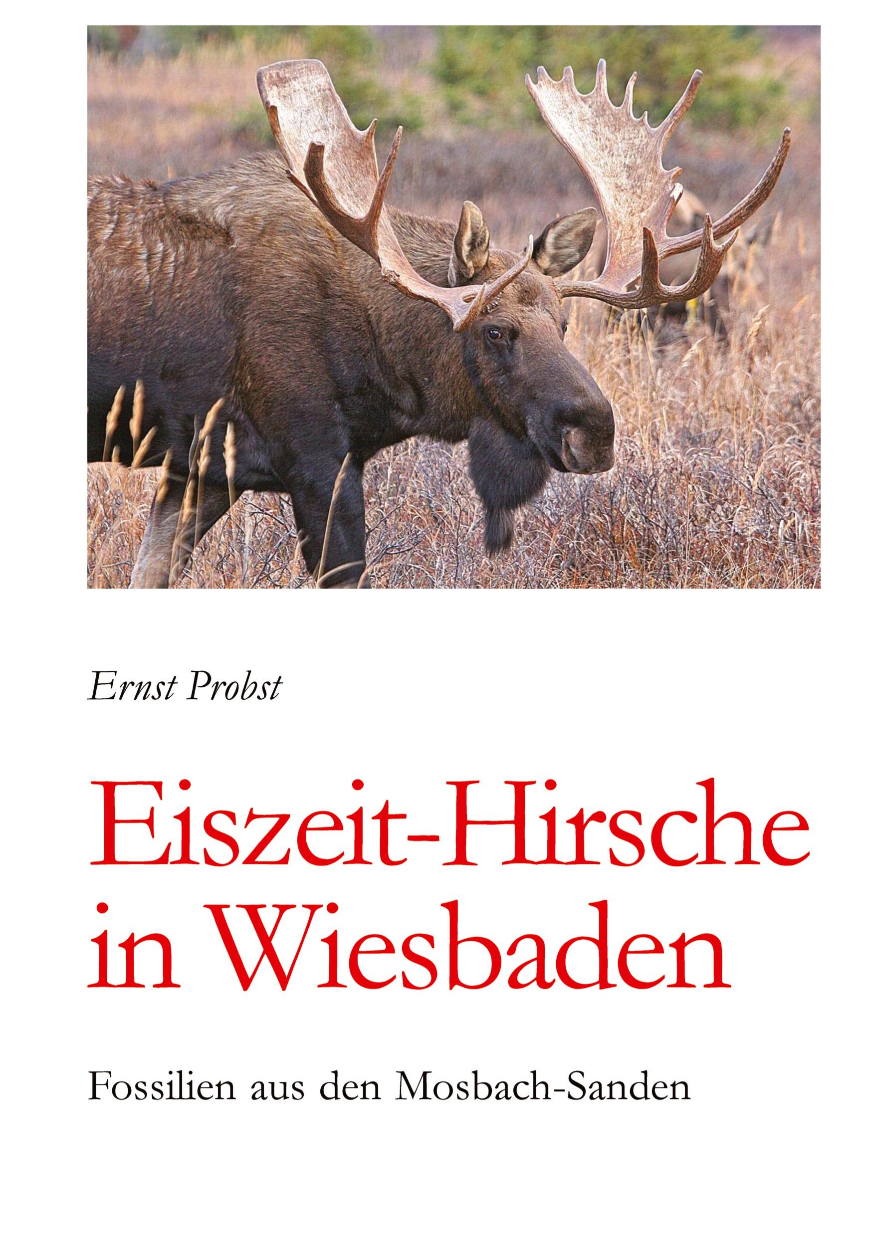 Vorderes Coverbild Eiszeit-Hirsche in Wiesbaden