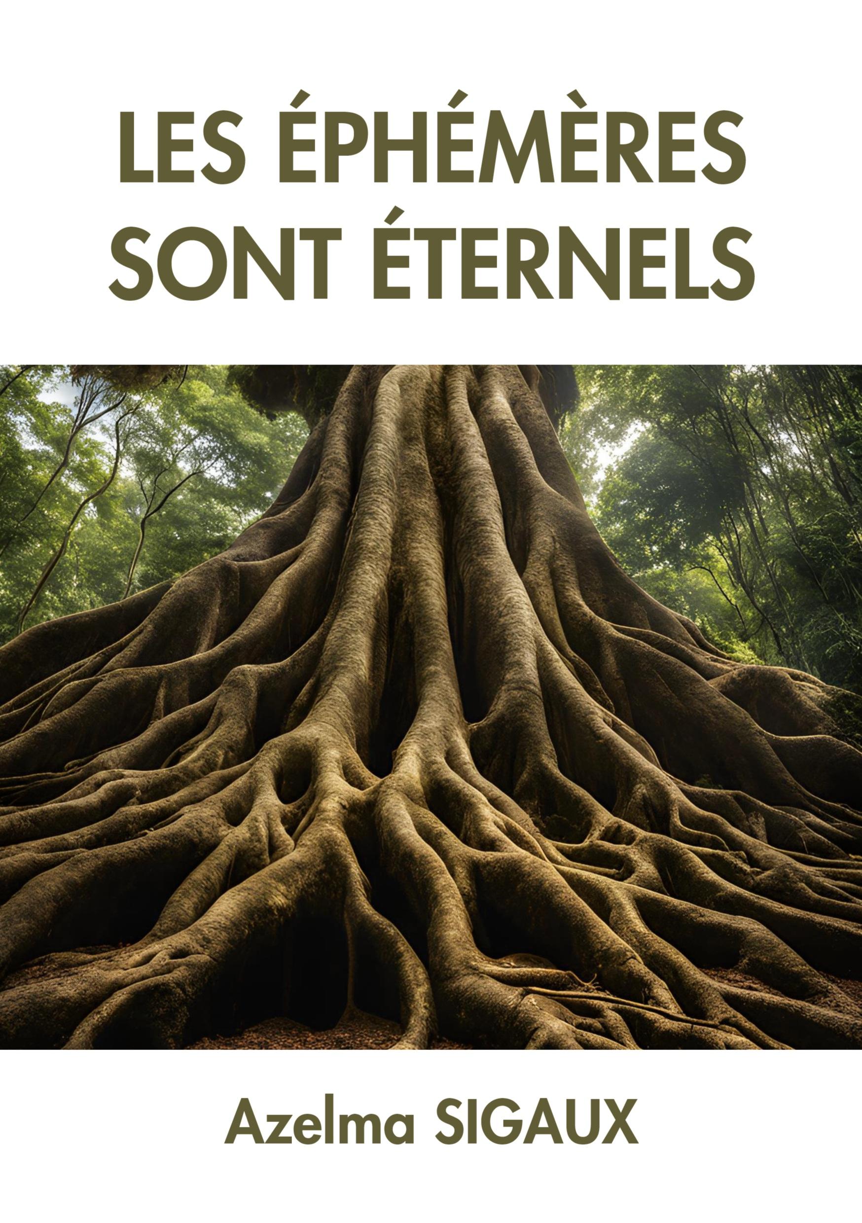 Vorderes Coverbild Les Éphémères sont éternels