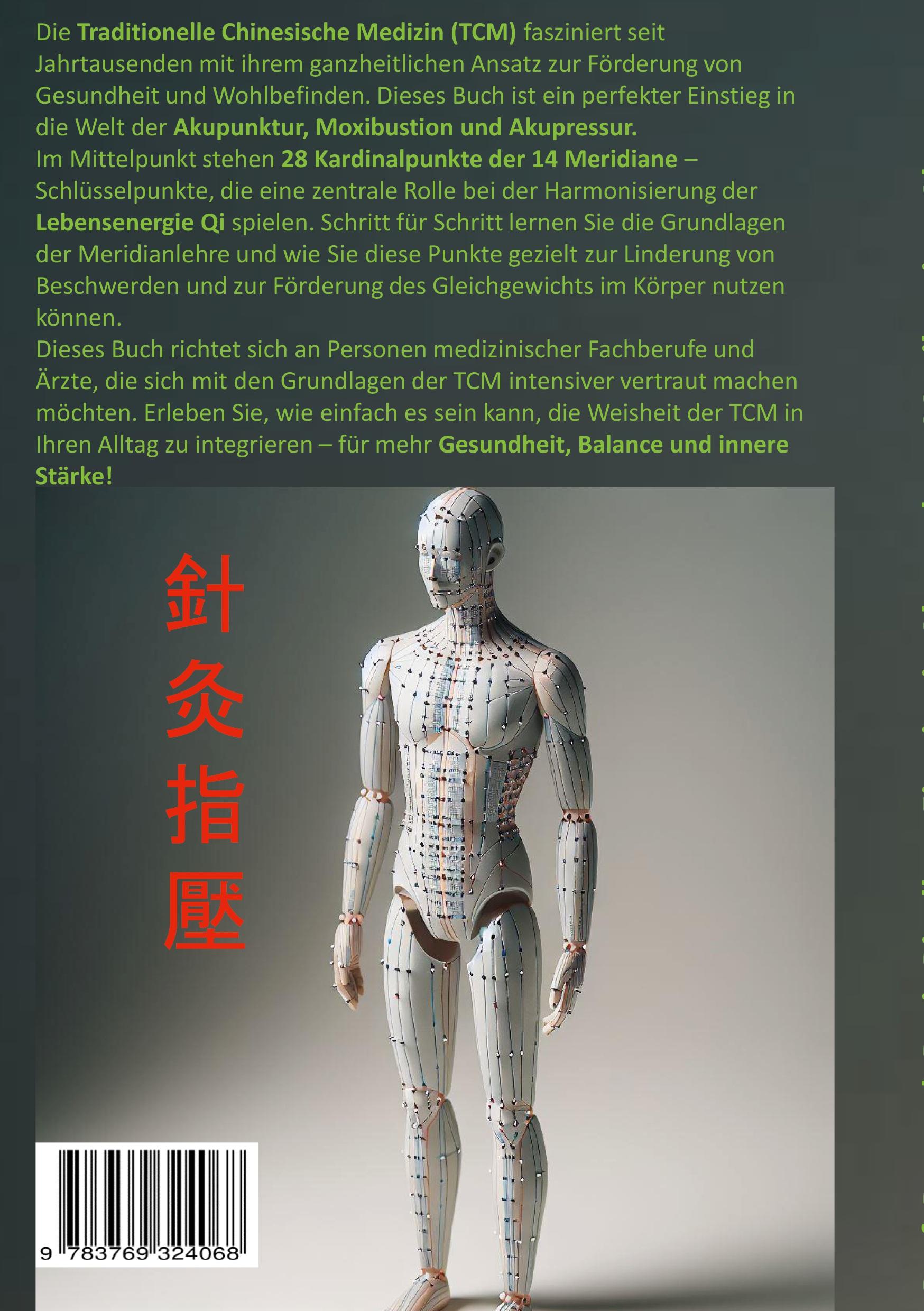 Rückseitencover Einstieg in Akupunktur, Moxibustion, Akupressur