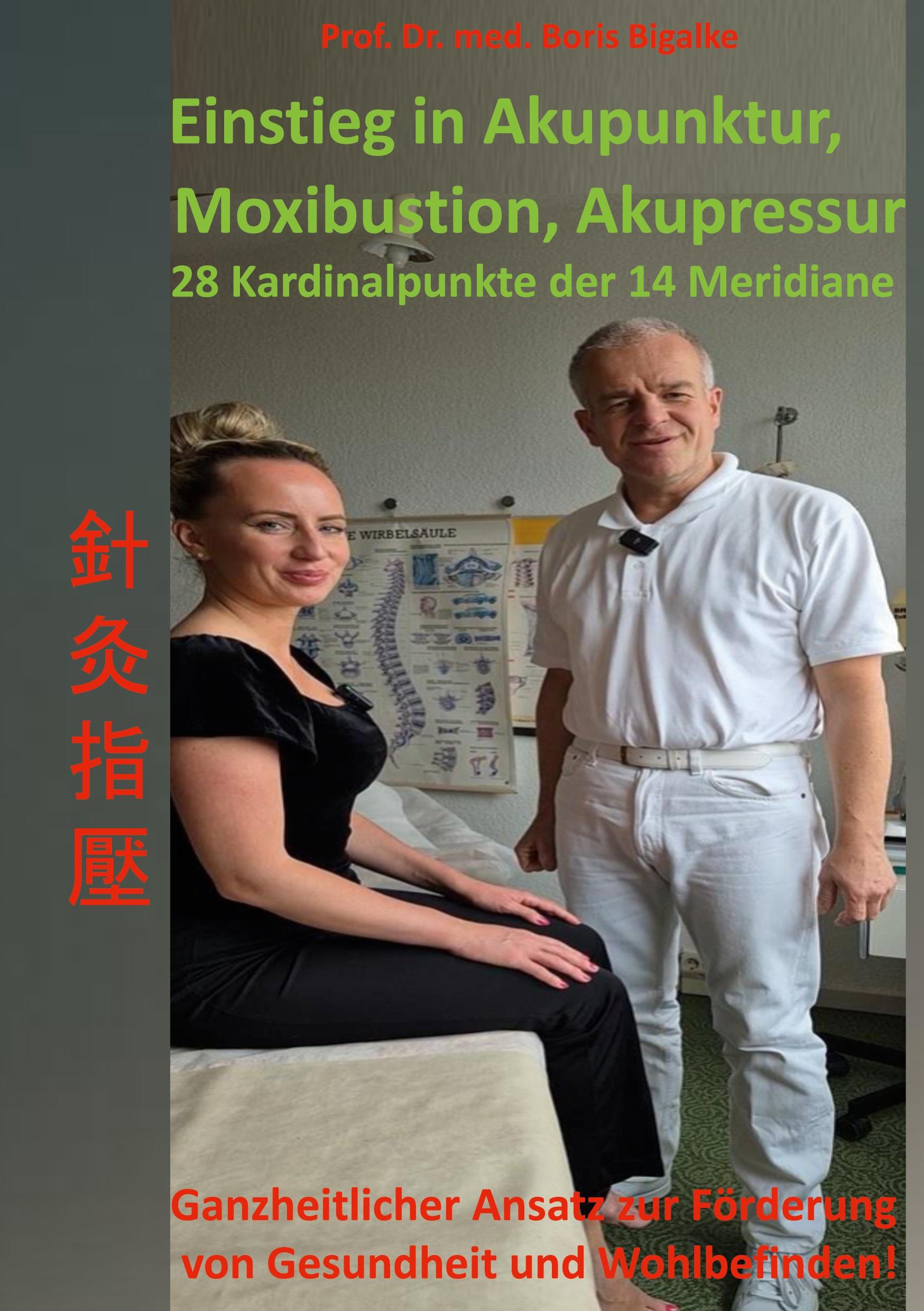 Vorderes Coverbild Einstieg in Akupunktur, Moxibustion, Akupressur