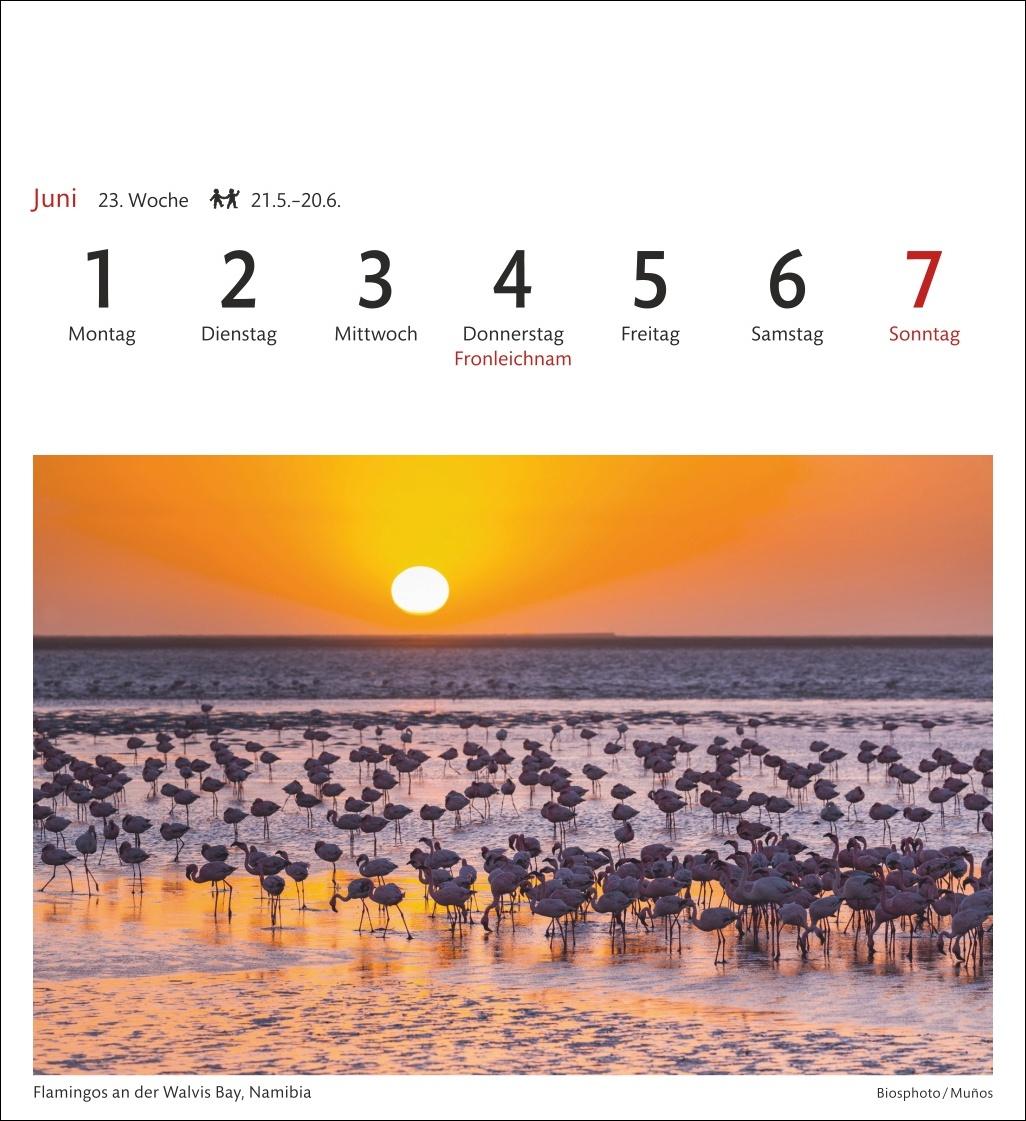 Beispielinhalt (Bild) Südafrika & Namibia Sehnsuchtskalender 2026 - Wochenkalender mit 53 Postkarten