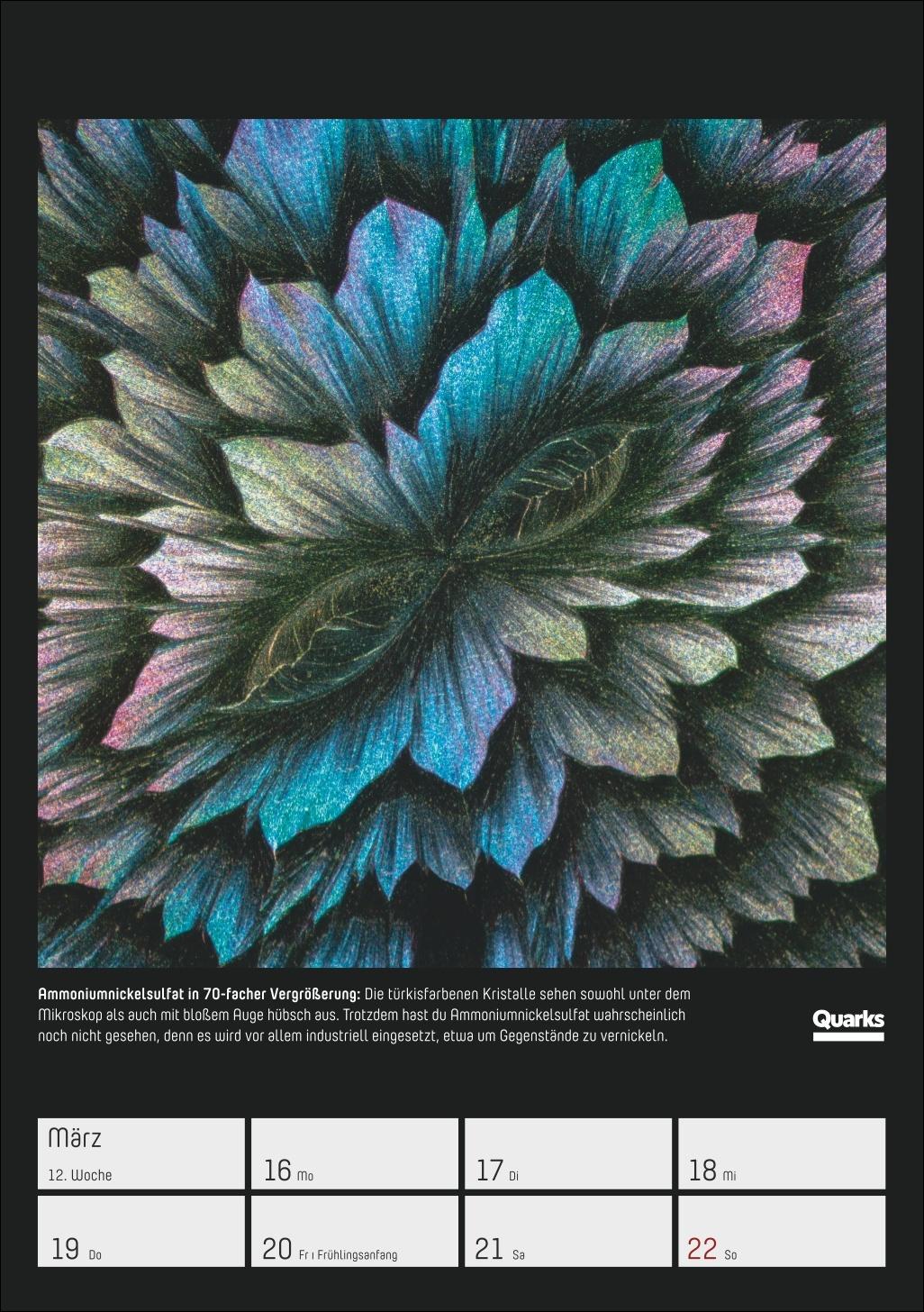 Beispielinhalt (Bild) Quarks. Die Welt, wie du sie noch nie gesehen hast Wochenplaner 2026