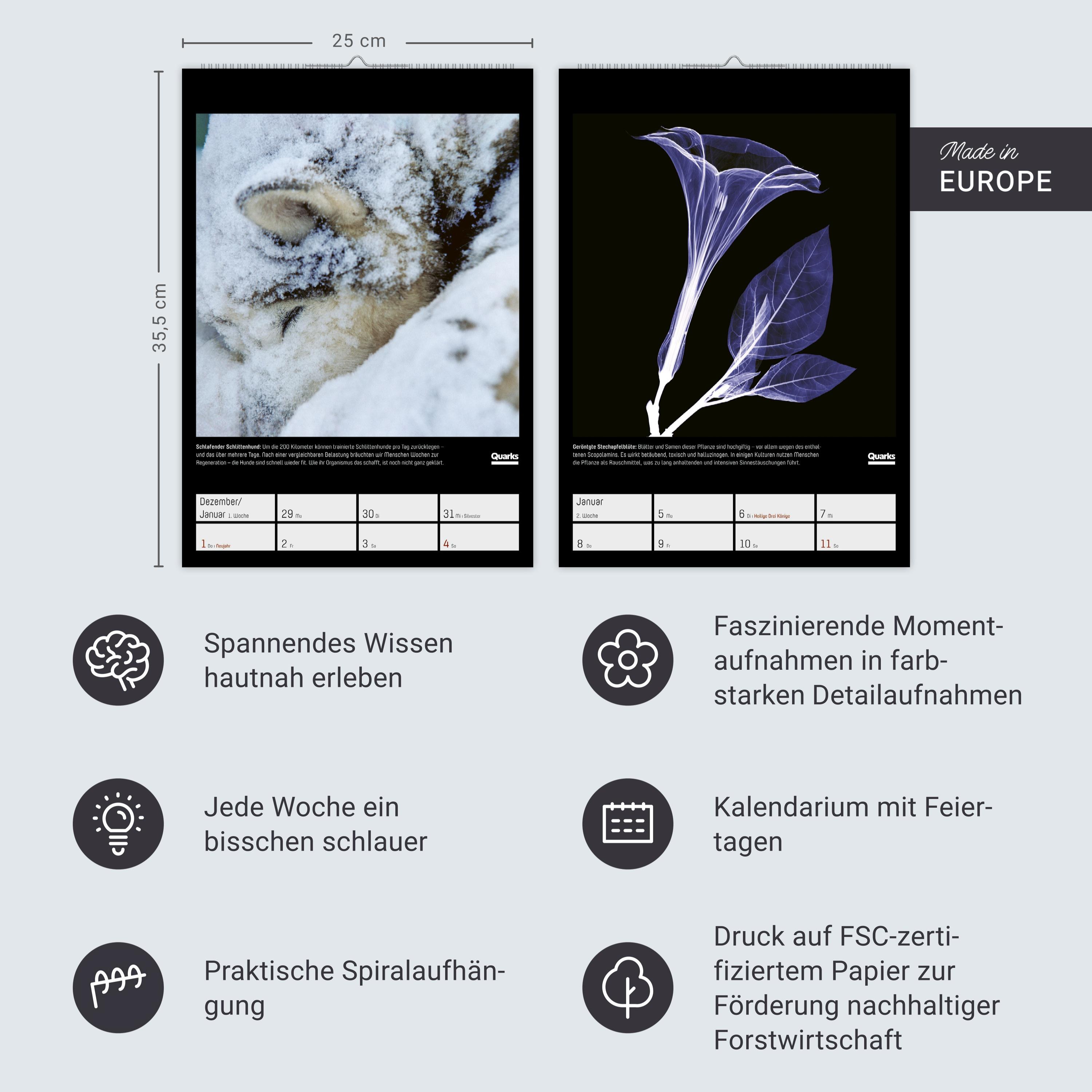 Beispielinhalt (Bild) Quarks. Die Welt, wie du sie noch nie gesehen hast Wochenplaner 2026