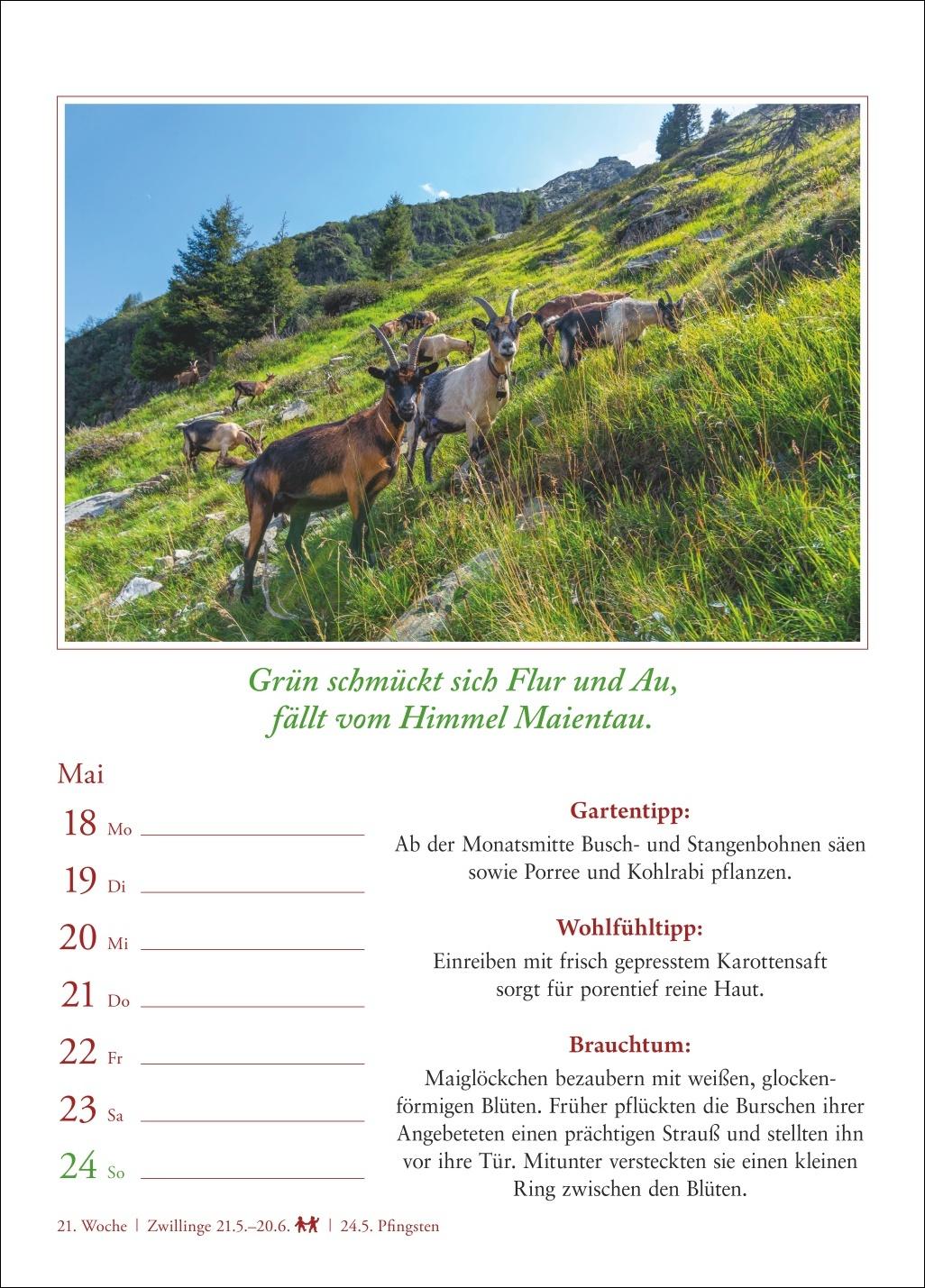 Beispielinhalt (Bild) Bauernweisheiten Wochenkalender 2026 - Bauernregeln, Brauchtum, Gartentipps, Haushaltstipps