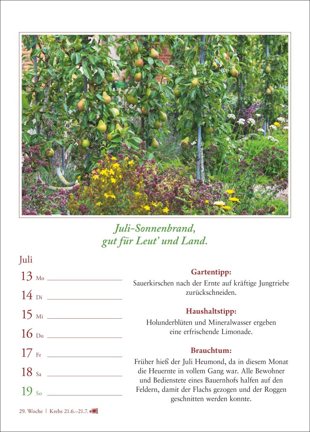Beispielinhalt (Bild) Bauernweisheiten Wochenkalender 2026 - Bauernregeln, Brauchtum, Gartentipps, Haushaltstipps