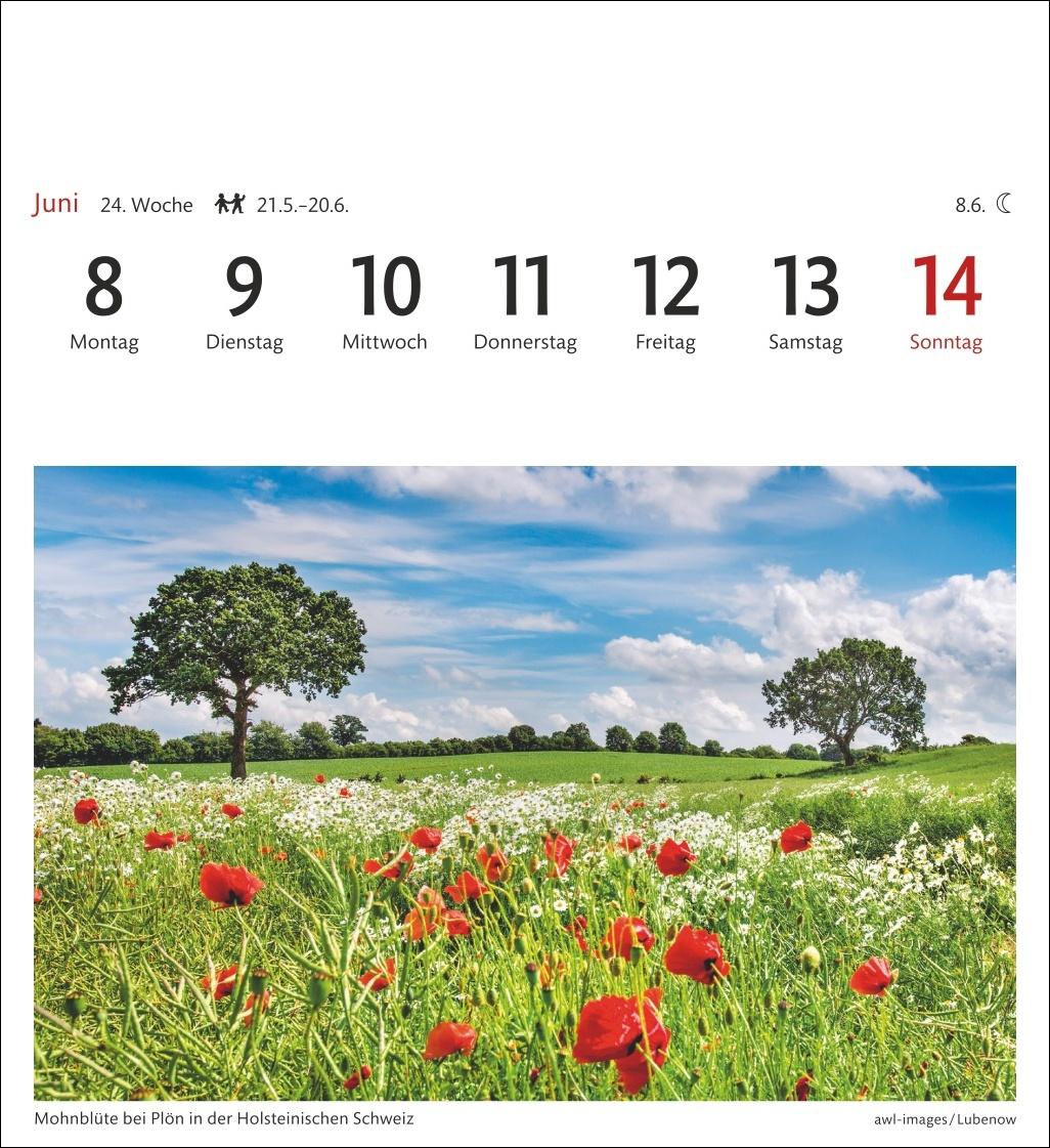 Beispielinhalt (Bild) Deutschland Sehnsuchtskalender 2026 - Wochenkalender mit 53 Postkarten