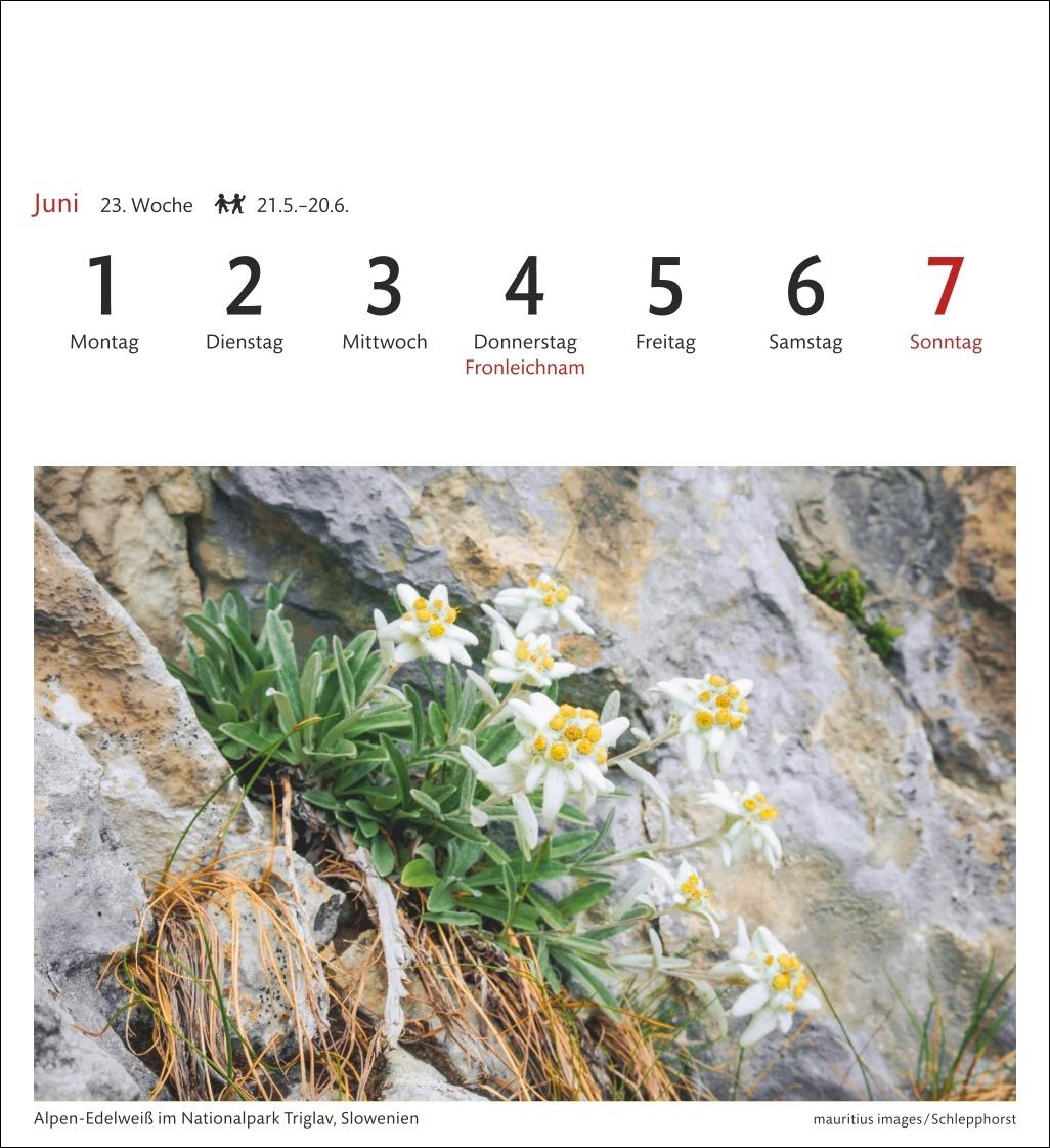 Beispielinhalt (Bild) Alpen Sehnsuchtskalender 2026 - Wochenkalender mit 53 Postkarten