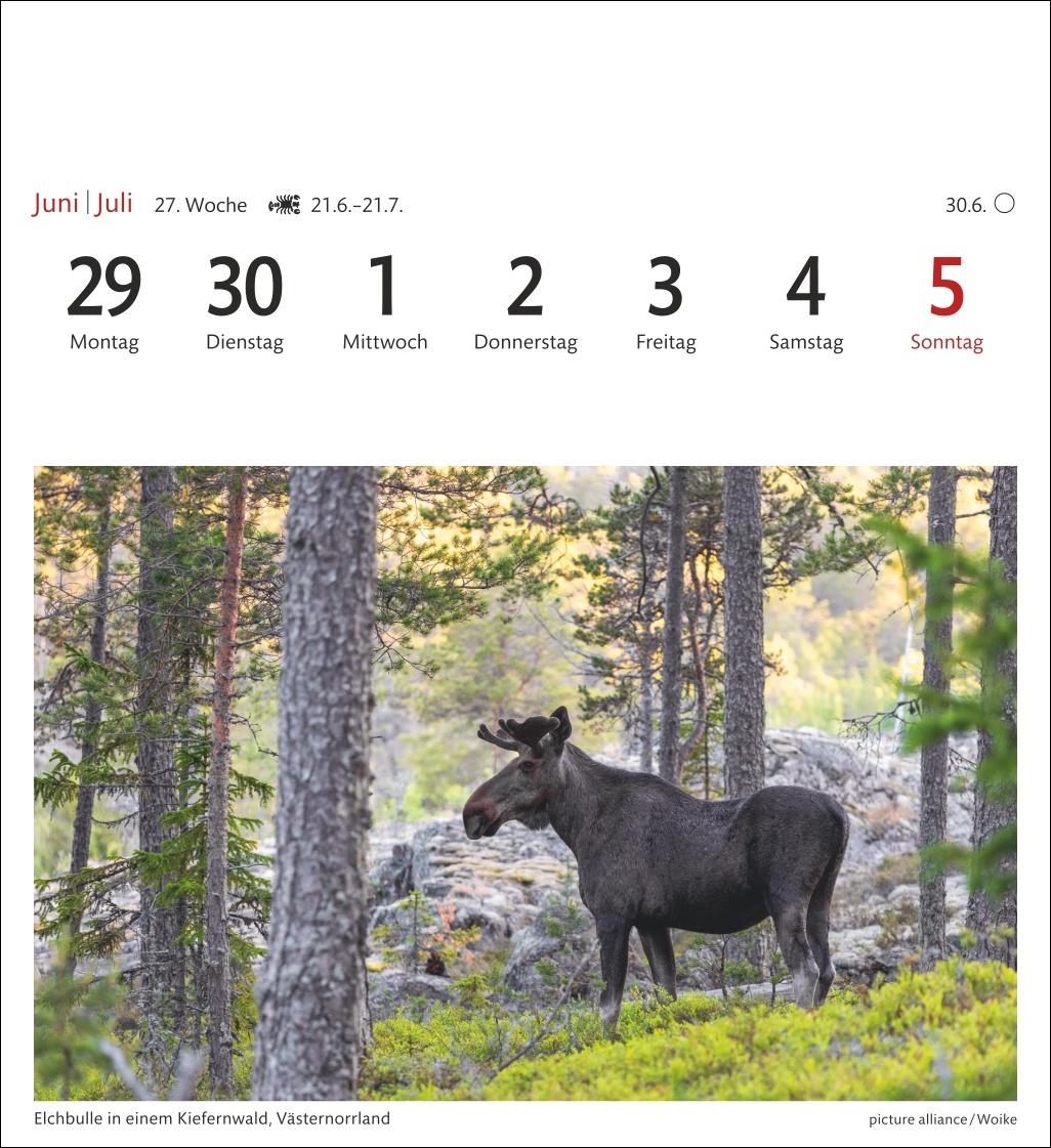 Beispielinhalt (Bild) Schweden Sehnsuchtskalender 2026 - Wochenkalender mit 53 Postkarten
