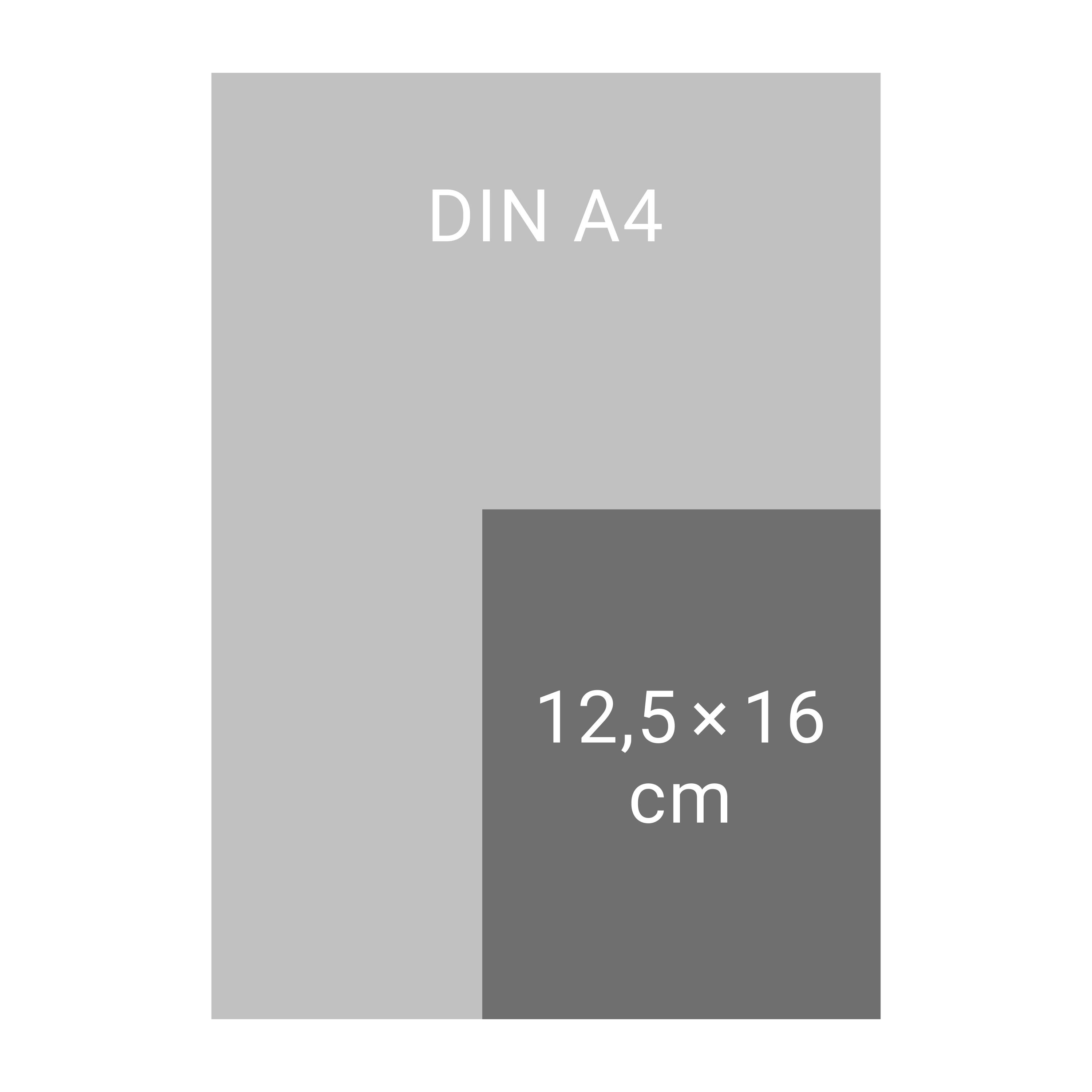 Beispielinhalt (Bild) Kalender für clevere Kids Tagesabreißkalender 2026
