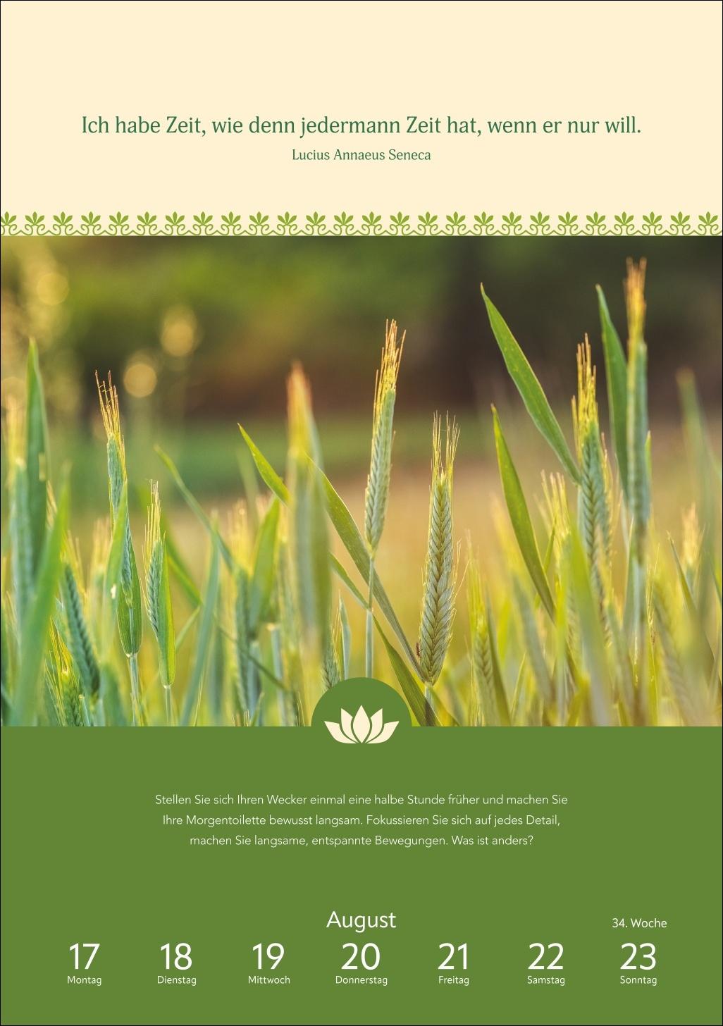 Beispielinhalt (Bild) Wege der Achtsamkeit Wochen-Kulturkalender 2026 - Anregungen für jede Woche