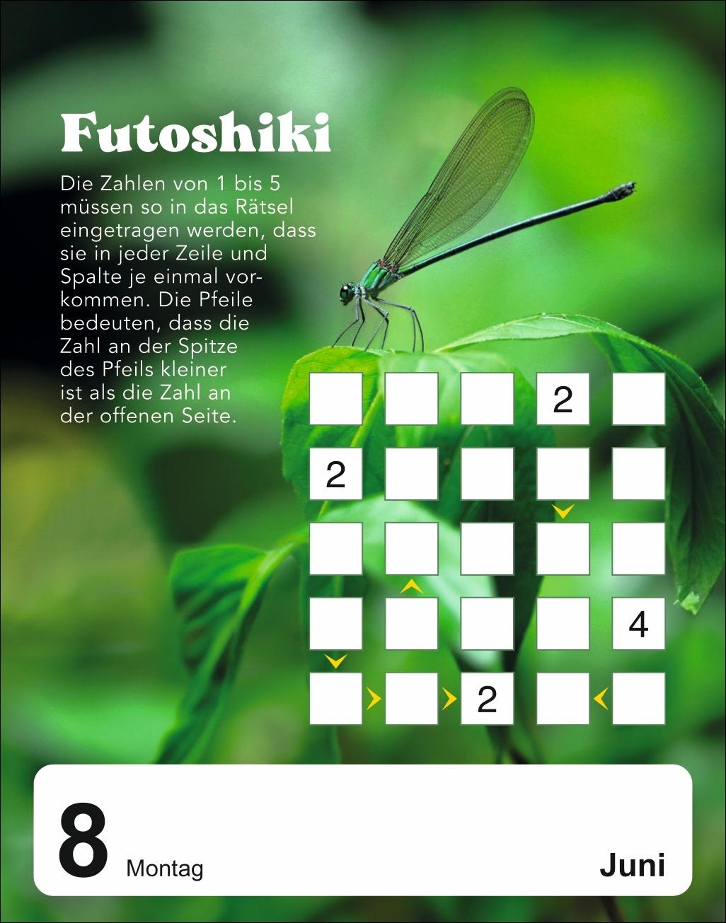 Beispielinhalt (Bild) 5 minutes to kill Tagesabreißkalender 2026 - Der Rätselkalender gegen die langweiligsten Minuten des Lebens