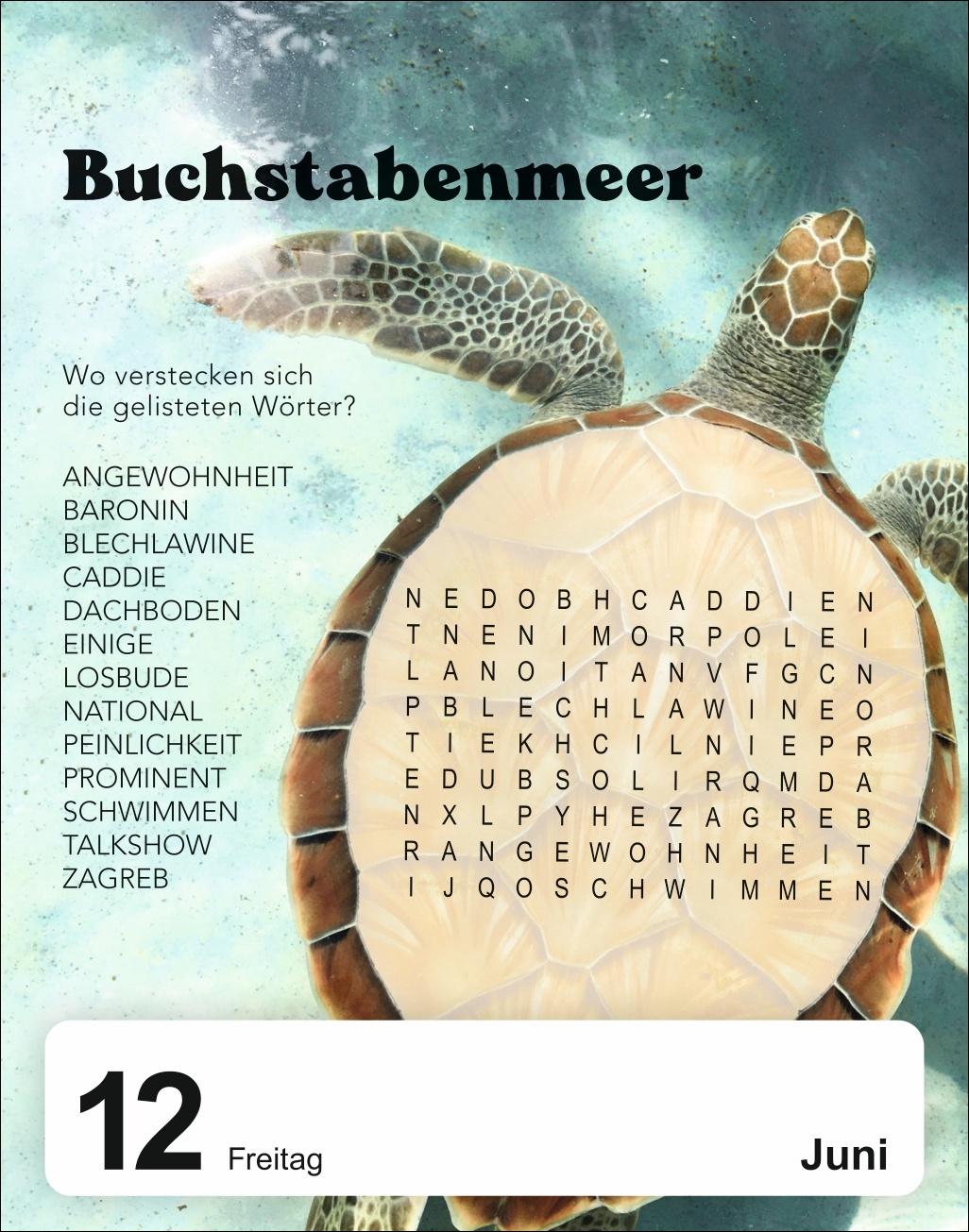 Beispielinhalt (Bild) 5 minutes to kill Tagesabreißkalender 2026 - Der Rätselkalender gegen die langweiligsten Minuten des Lebens